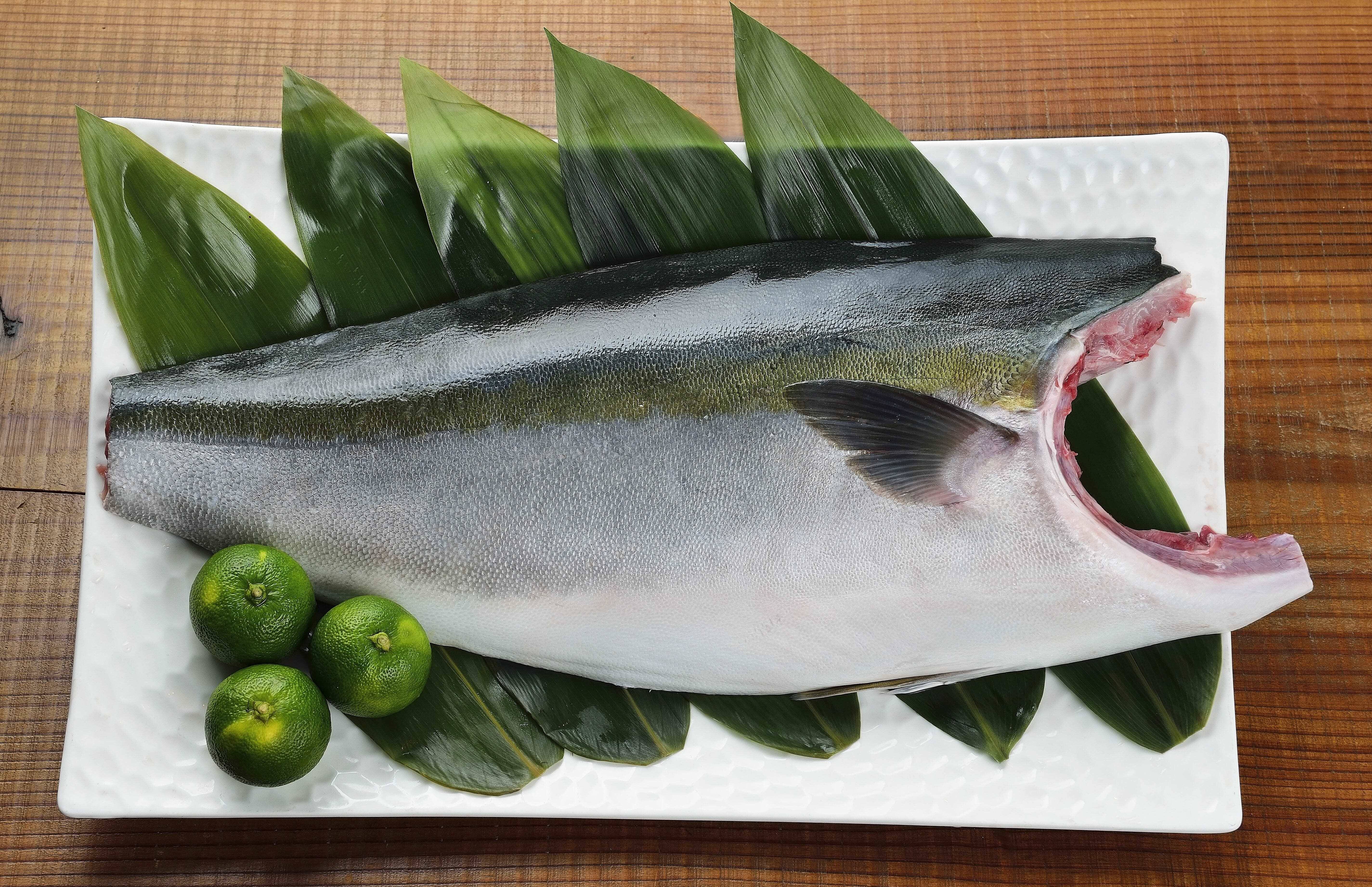 赤鰤 島の人 ぶり ブリ 鰤 お取り寄せ グルメ 天然 北海道 羅臼産 1.0kg