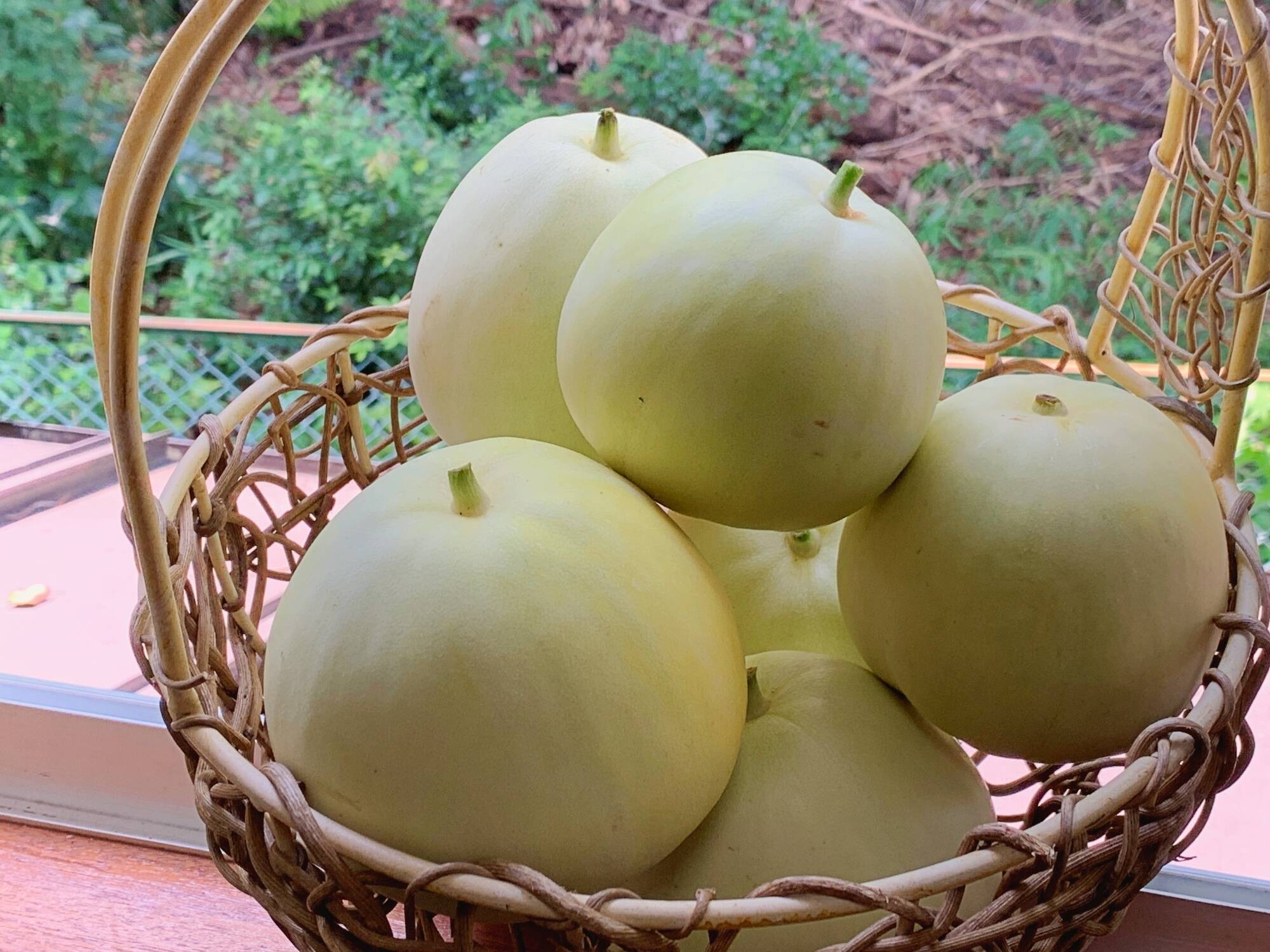 カジャリメロンの種(自然栽培) カジャリメロンの種(自然栽培) - メルカリ