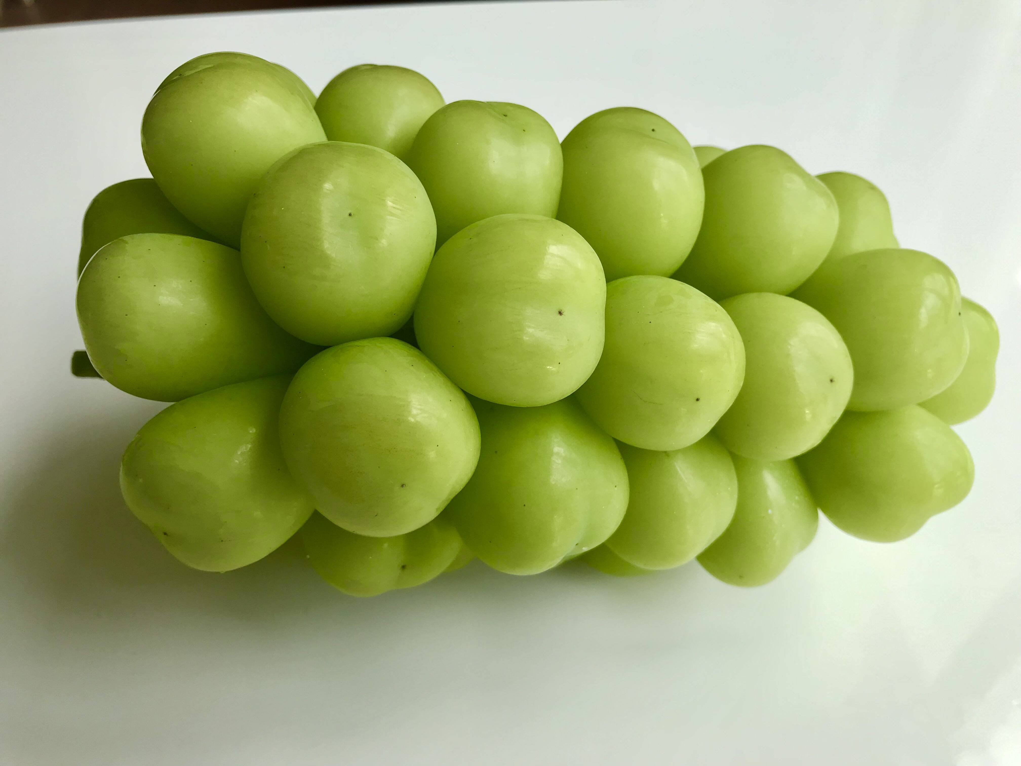 24fc53d63535c3fcf5bd62cf949120