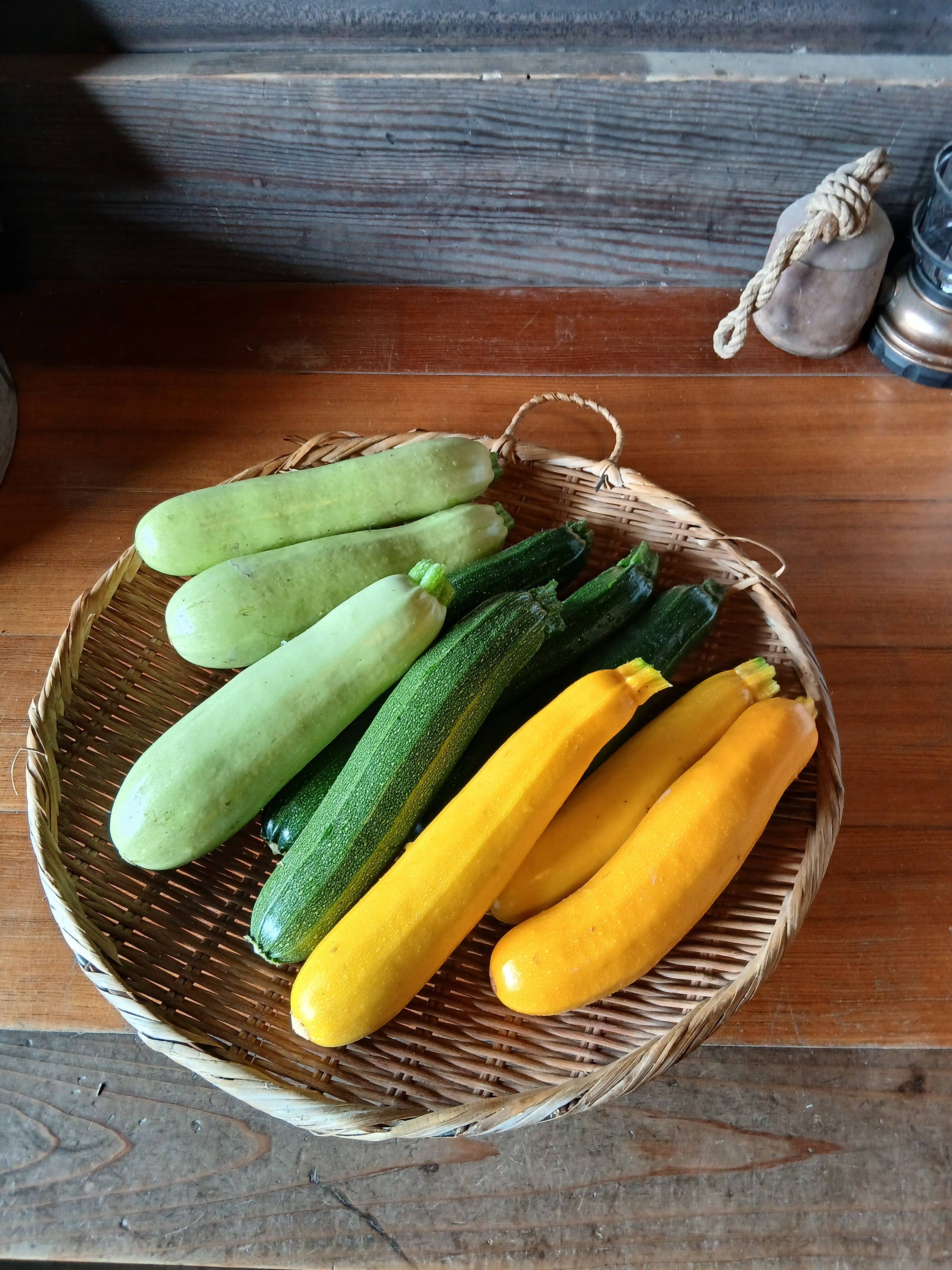 原画　夏野菜3枚セット 20220712夏野菜売場
