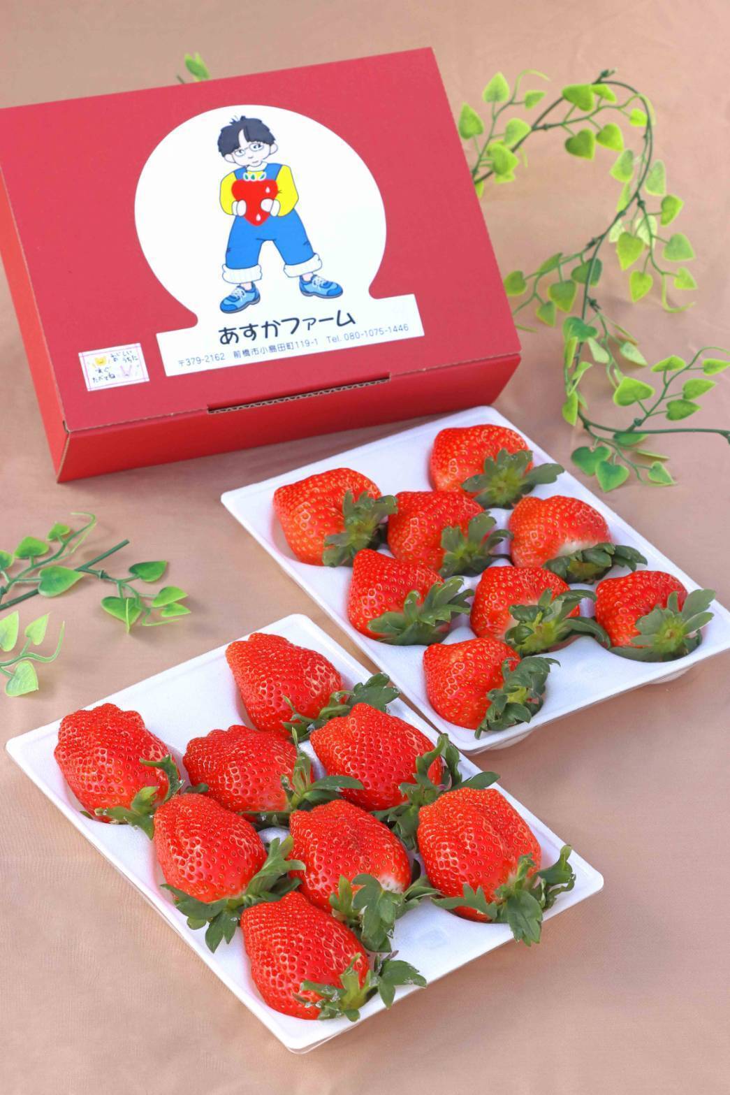 群馬県いちご品評会【銅賞受賞🥉】桃の香りが病みつきになる【恋みのり