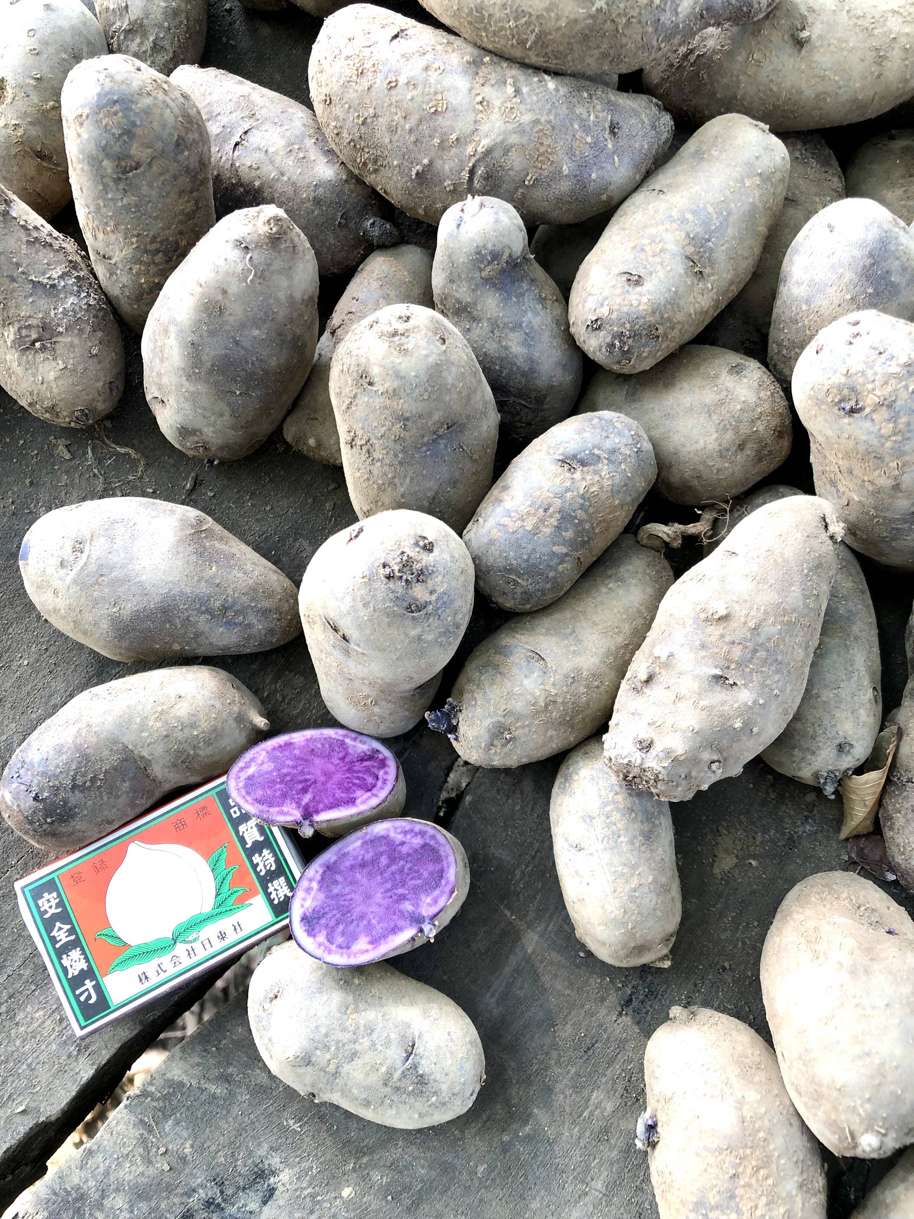 【B級品】紫のジャガイモ シャドークイーン【小さいサイズ3kg】：埼玉県産のじゃがいも｜食べチョク｜産地直送(産直)お取り寄せ通販 -  農家・漁師から旬の食材を直送