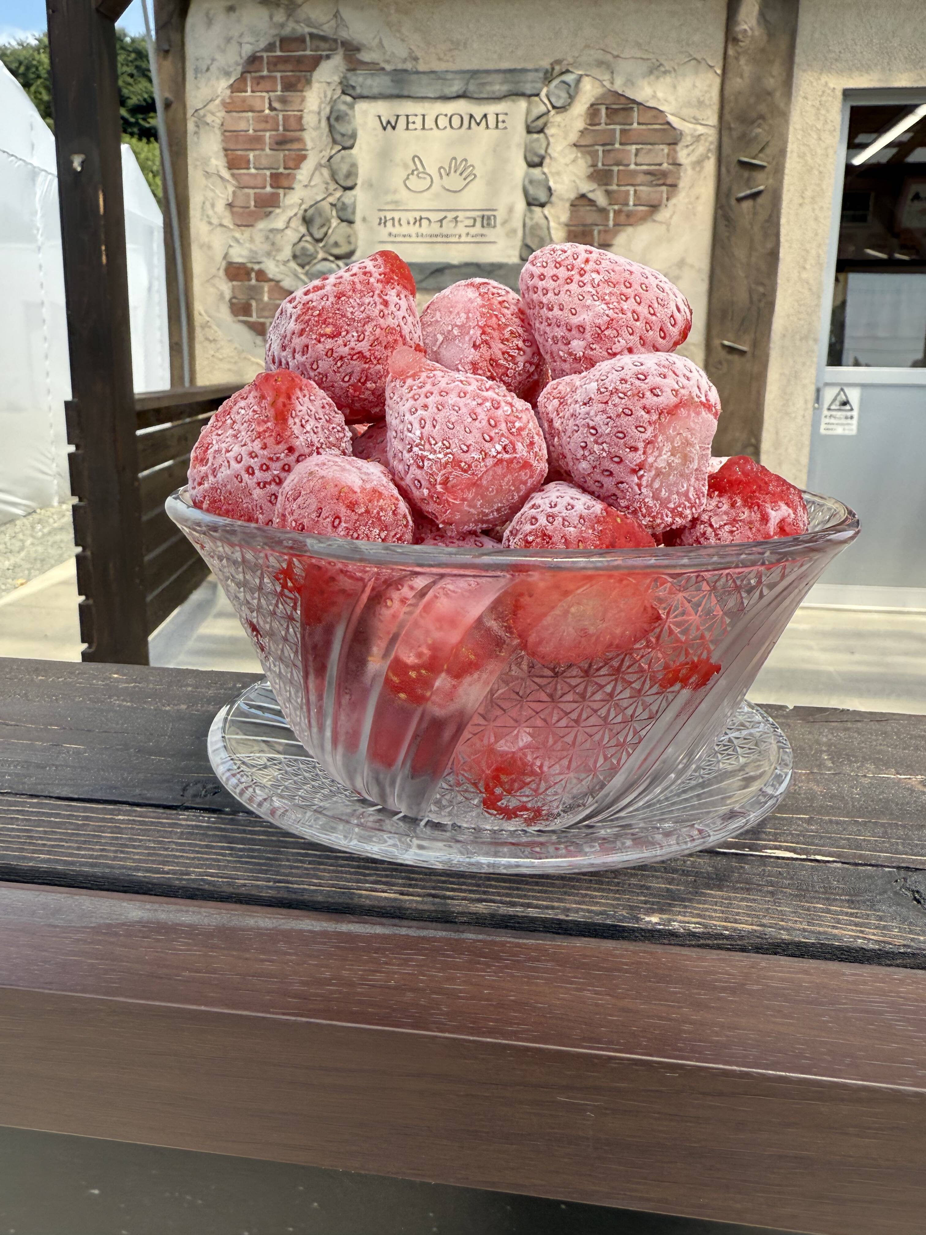 冷凍いちご　5キロ　瞬冷凍　夏いちご　北海道産　クール便 完熟瞬間冷凍 🍓やよいひめ🍓瞬間冷凍いちご 真空パック小分け