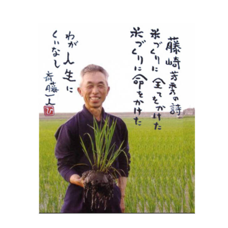 令和6年新米 京都玄米 ヒノヒカリ 有機肥料 農薬不使用 10キロ