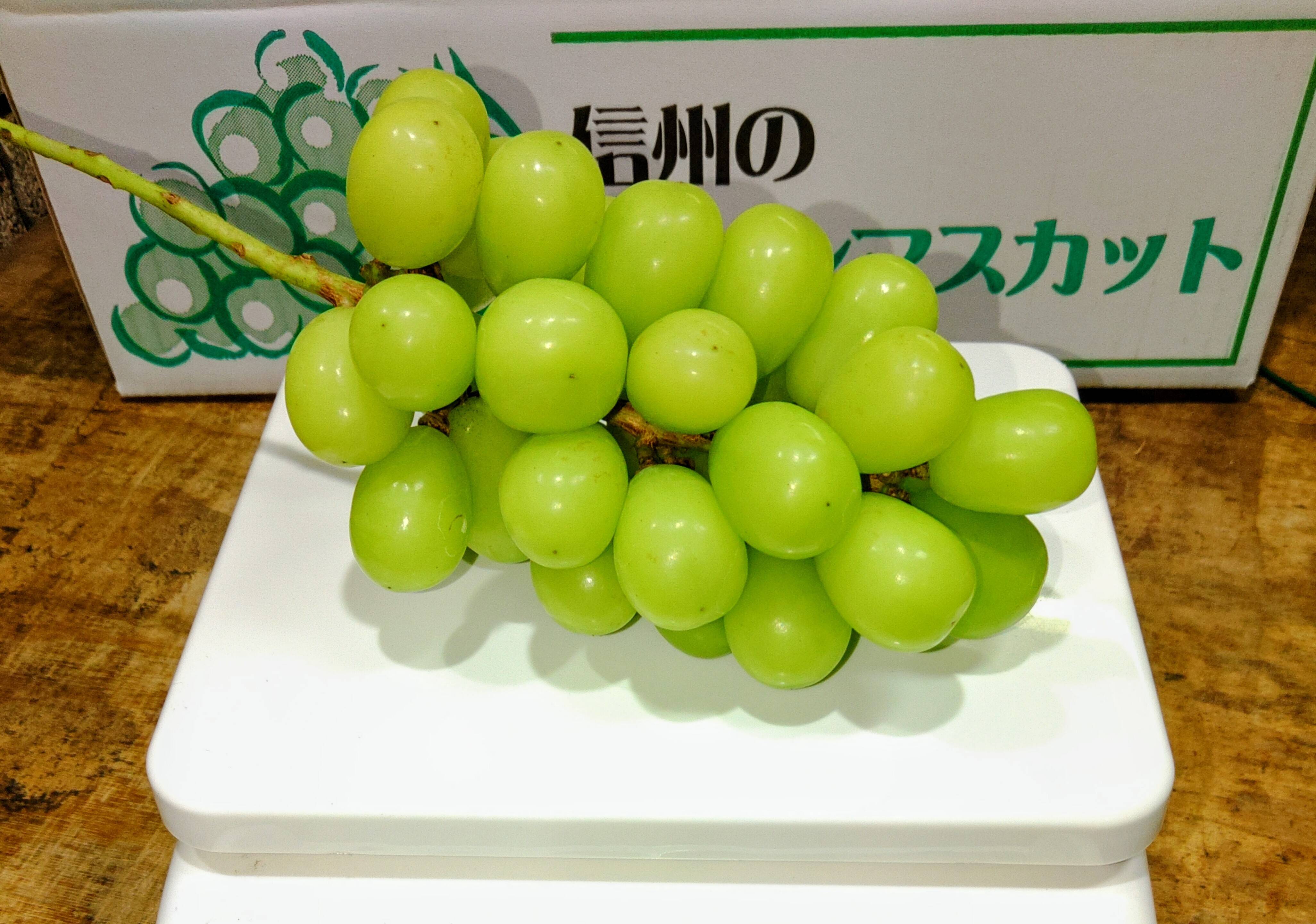 シャインマスカッ写真青色参考の、徳用5.5キロ入りの粒バック入りに