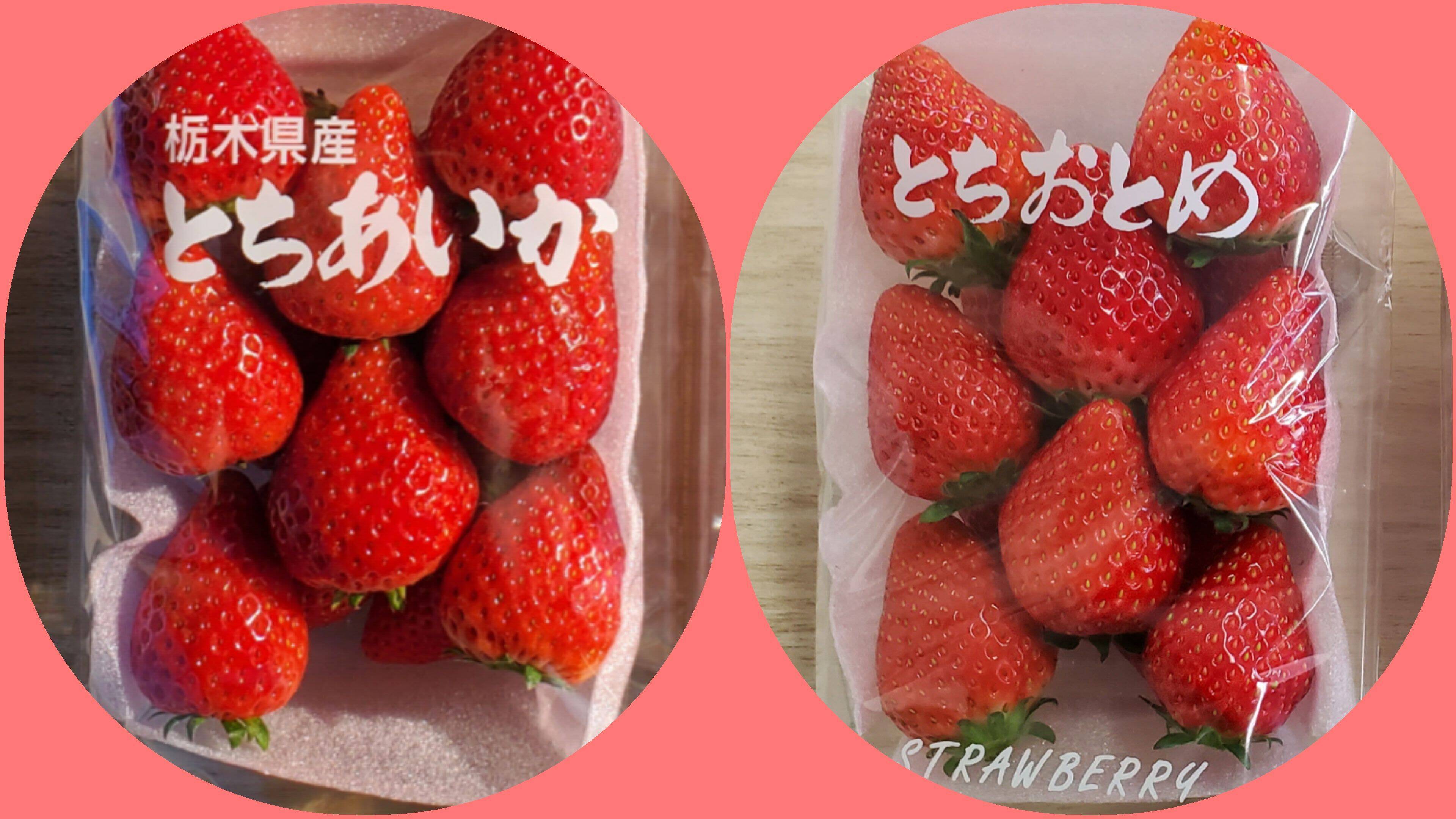 栃木のおいしいイチゴ🍓とちおとめ＆とちあいか食べ比べセット【260g×2パック】：栃木県産のとちおとめ｜食べチョク｜産地直送(産直)お取り寄せ ...
