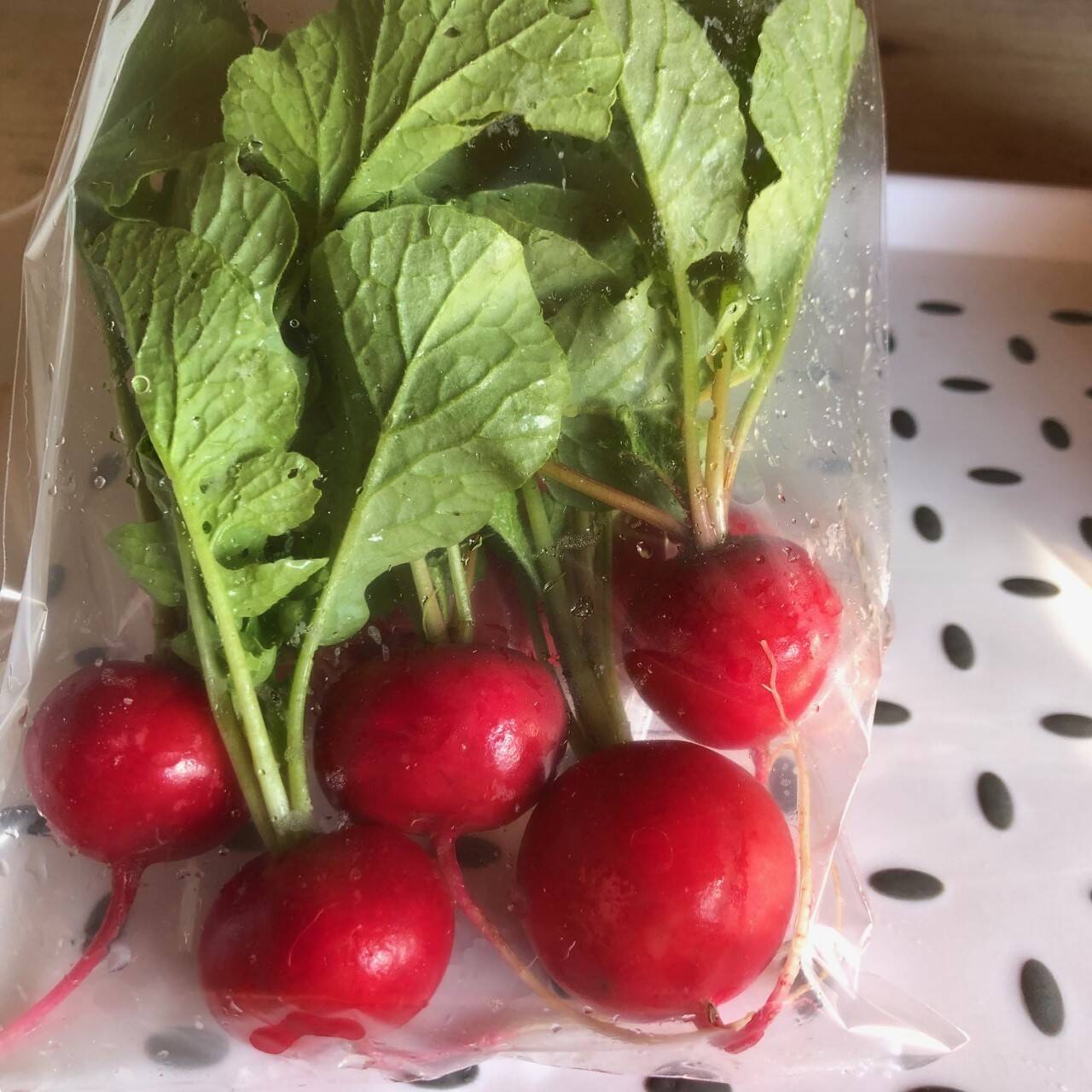 自然農法のラディッシュです 1箱ー1袋5個の 5袋入りです 少し傷のあるのもあります 長崎県産の野菜 食べチョク 産地直送 産直 お取り寄せ通販 農家 漁師から旬の食材を直送 自然農法のラディッシュです 1箱ー1袋5個の 5袋入りです 少し傷のあるのもあります 長崎県産の野菜 食べチョク 産地直送 産直 お取り寄せ通販 農家 漁師から旬の食材を直送