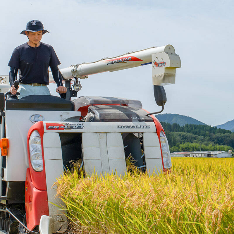 令和7年産】一粒の贅沢。特別栽培米『つや姫』 無洗米 5kg 山形県鶴岡