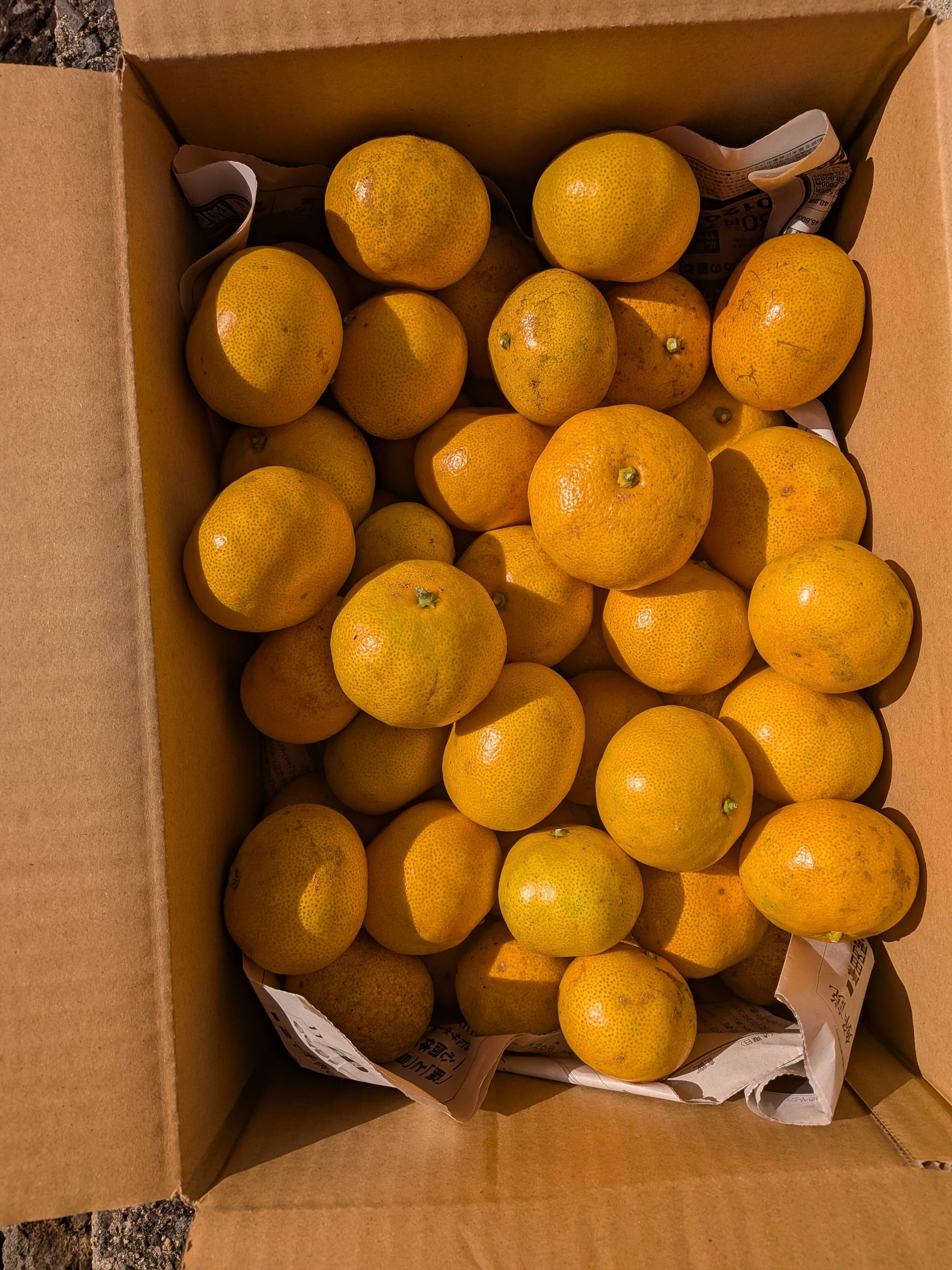 2667684403289e3354047d2dca1c6b