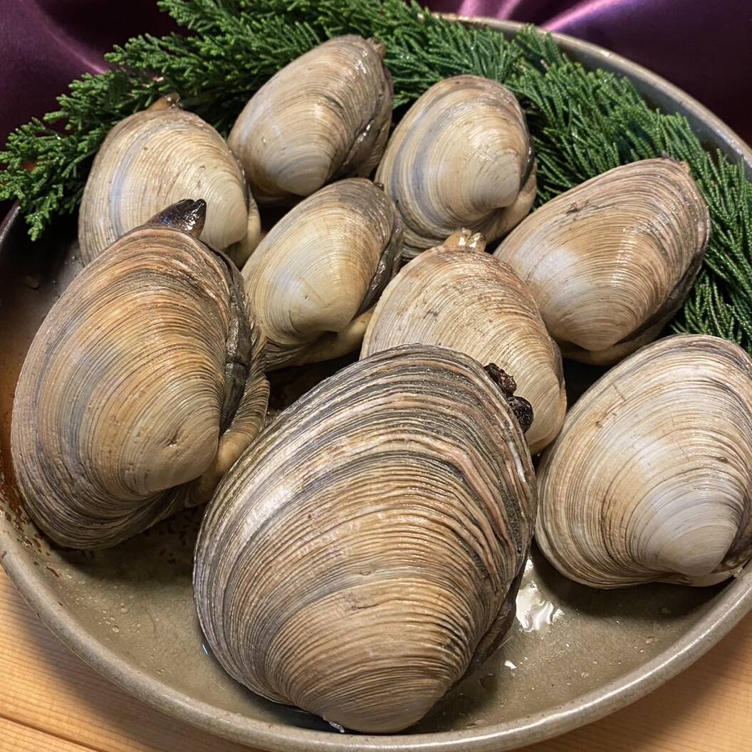 愛知県 日間賀島産ブランド大アサリ 【大サイズ】~活き発送3キロ：愛知