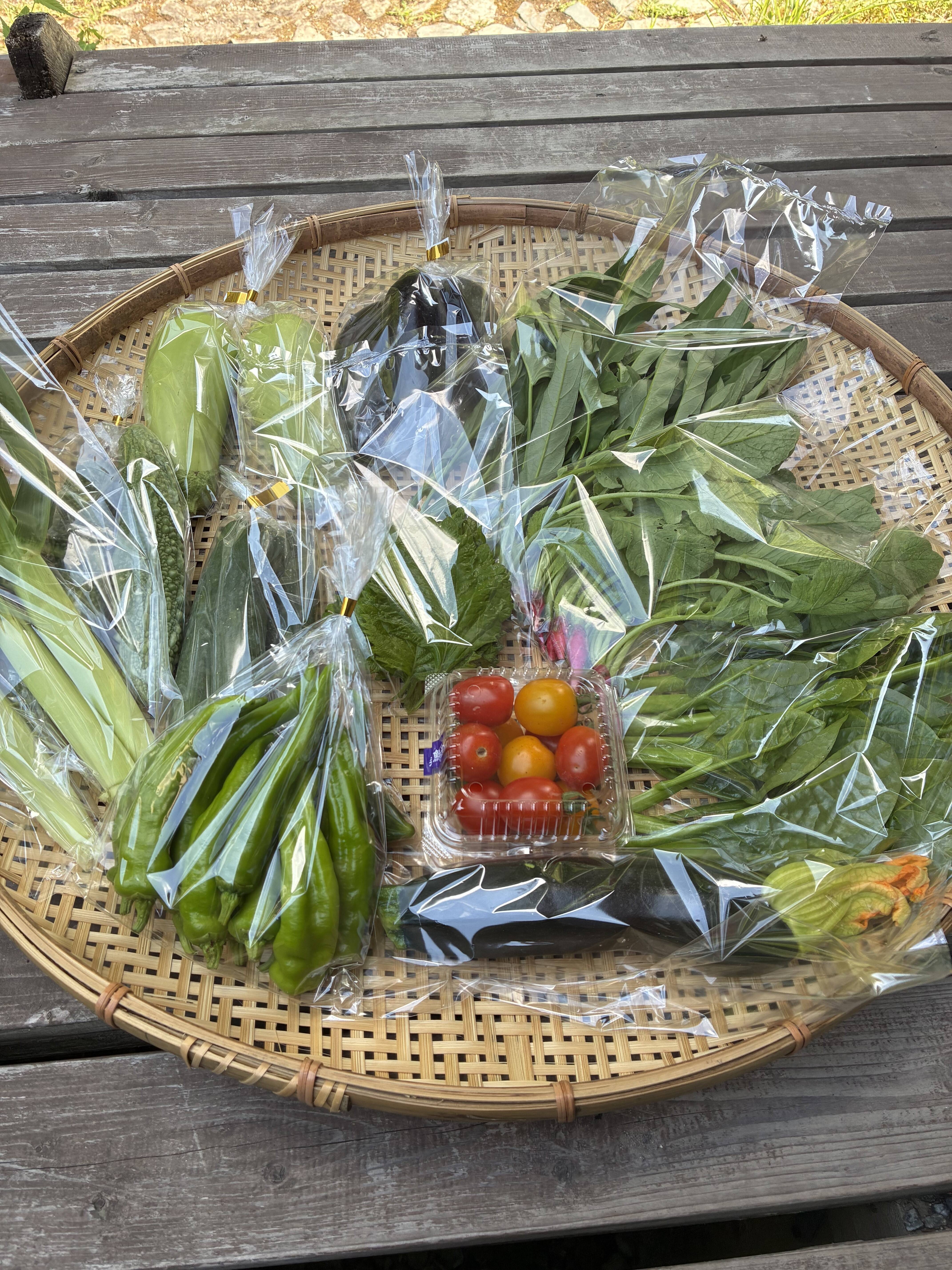 ギフトにも！小さな農家、旬のお野菜セット 8〜10品目熨斗対応可＜農薬