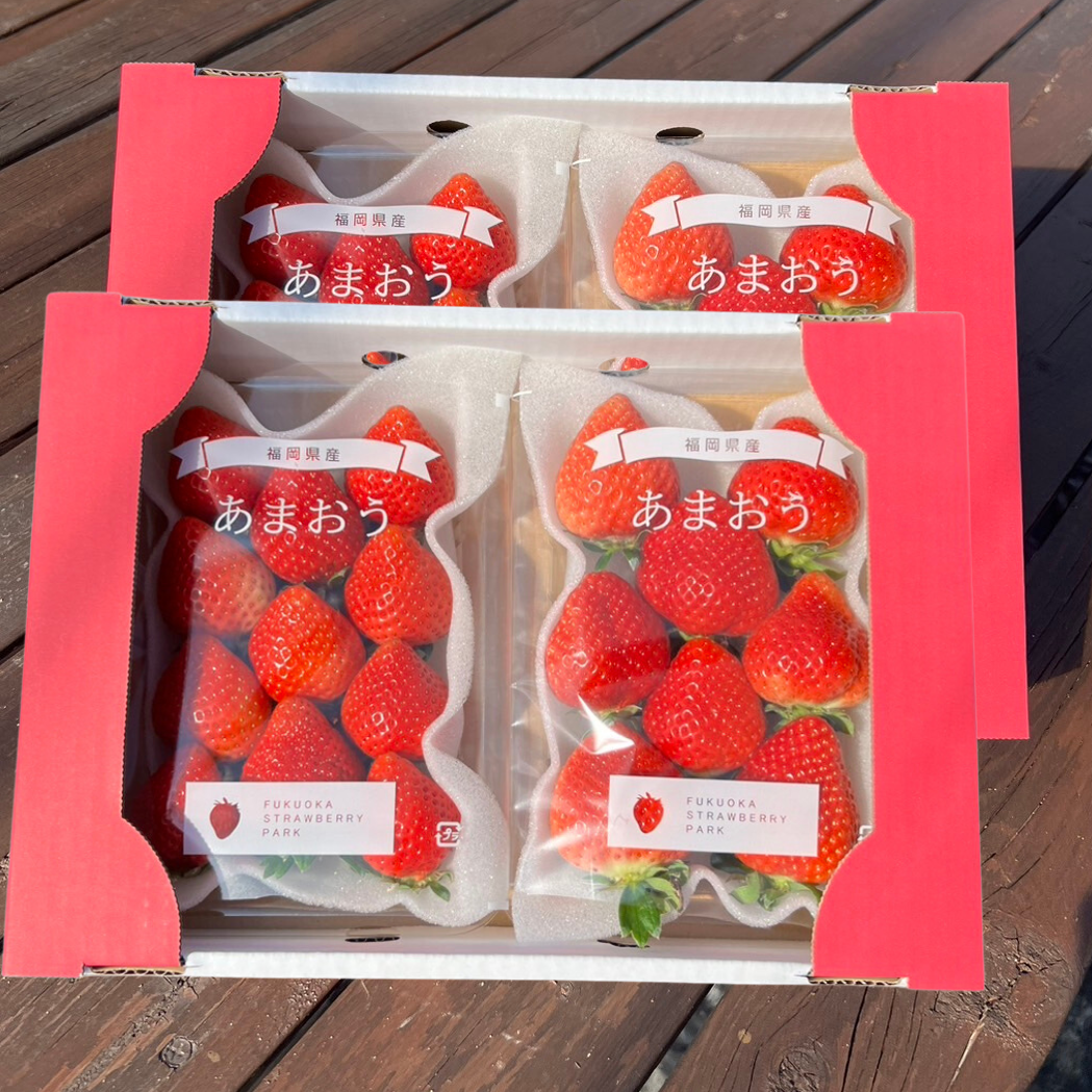 あまおう サイズ色々！270g×4パック たっぷり1080gSP：福岡県産の