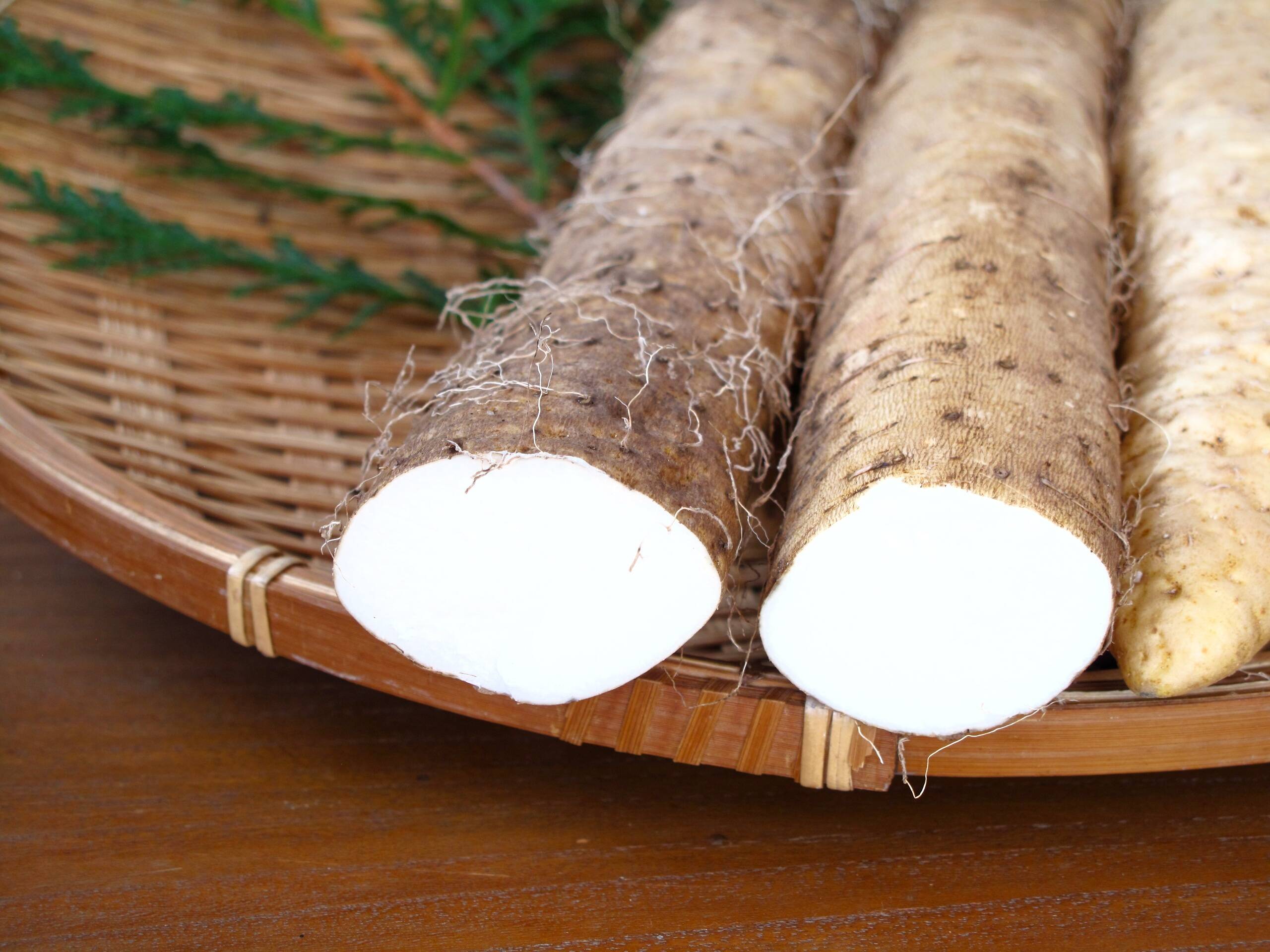 掘りたてをお届け！】自然薯500g（カットしたものを真空パック）風味