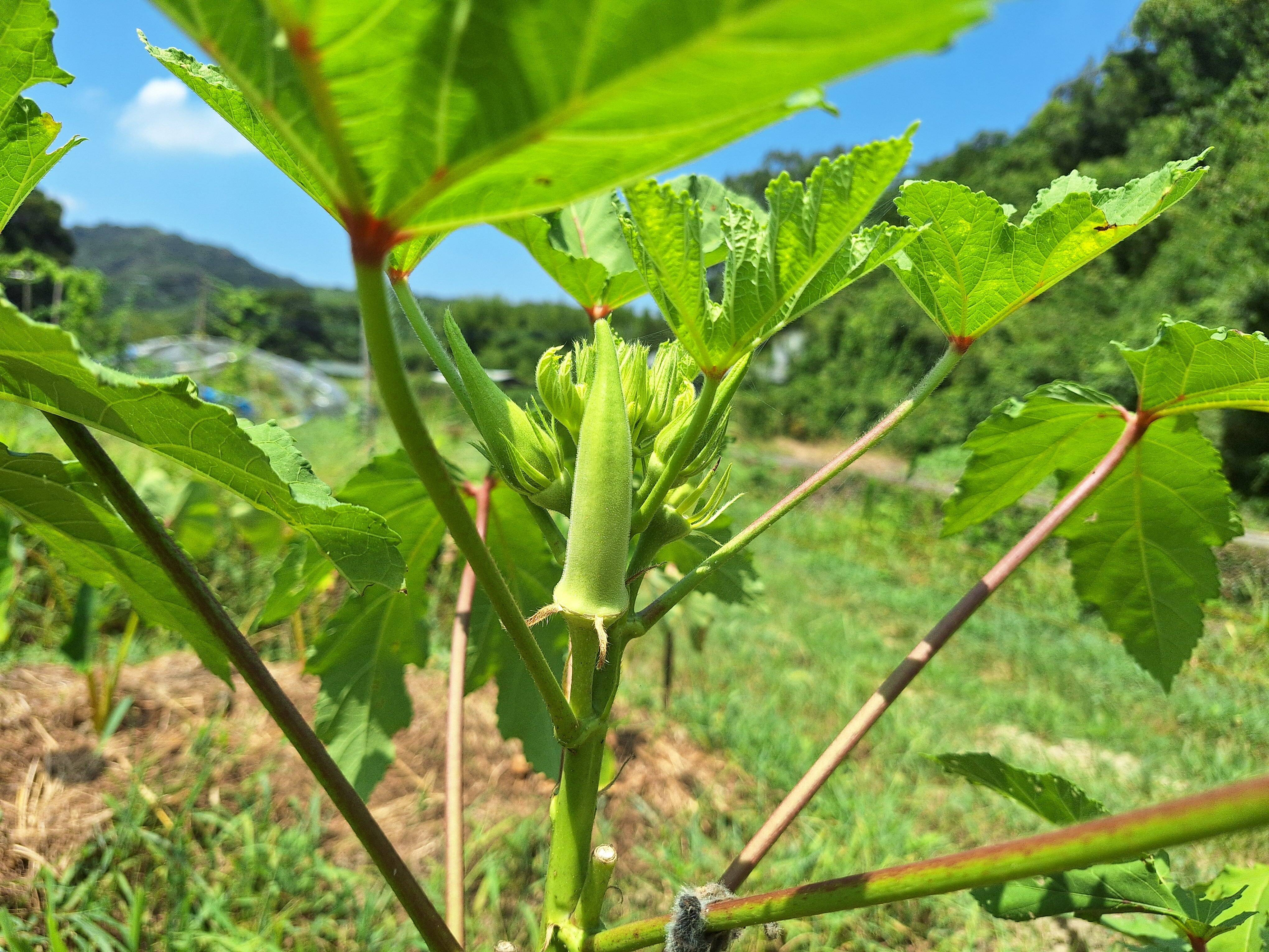 26f10d7306e3e1846d77beb27375eb