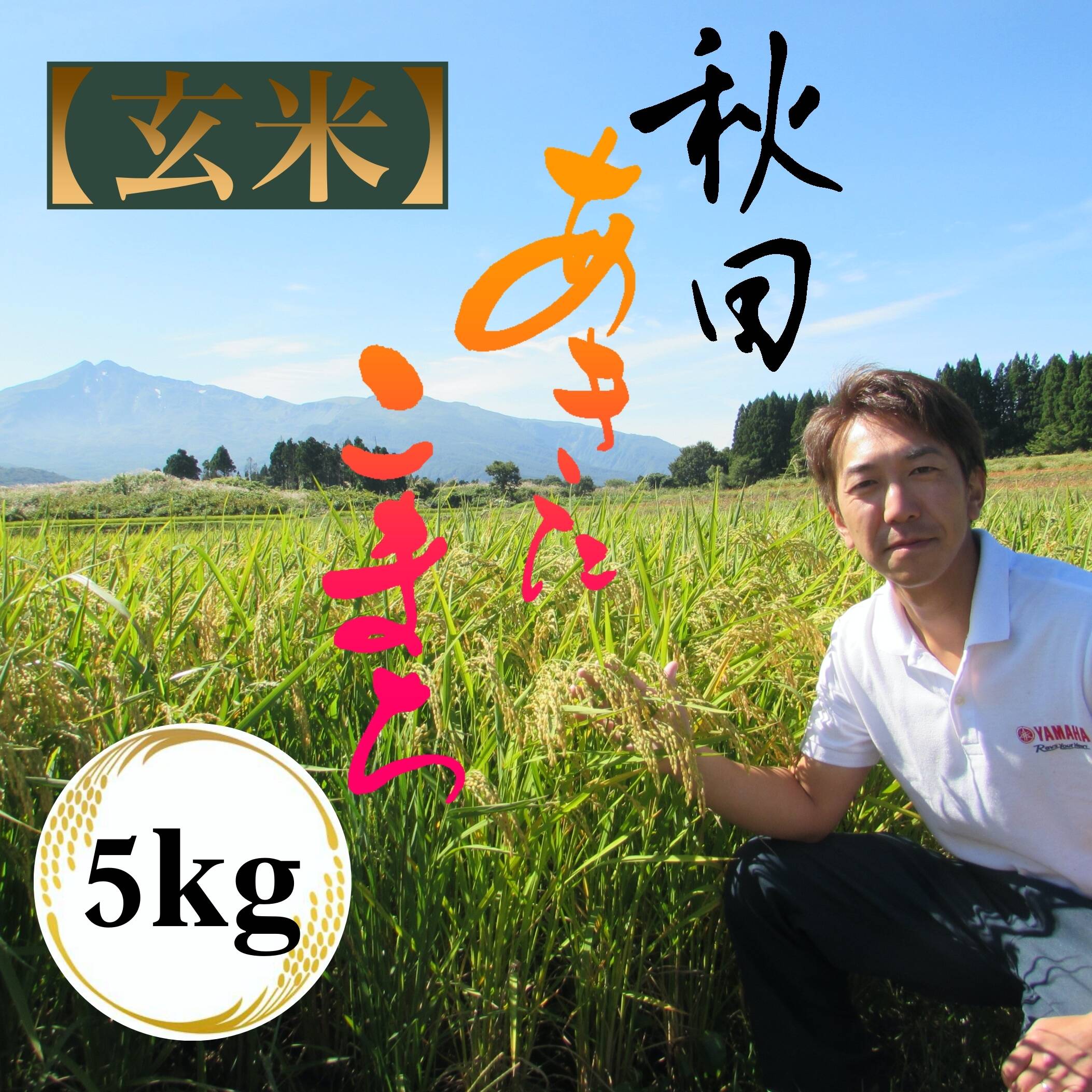 神宿る里の米 ひの米 あきたこまち【玄米】5kg：秋田県産のお米｜食べ