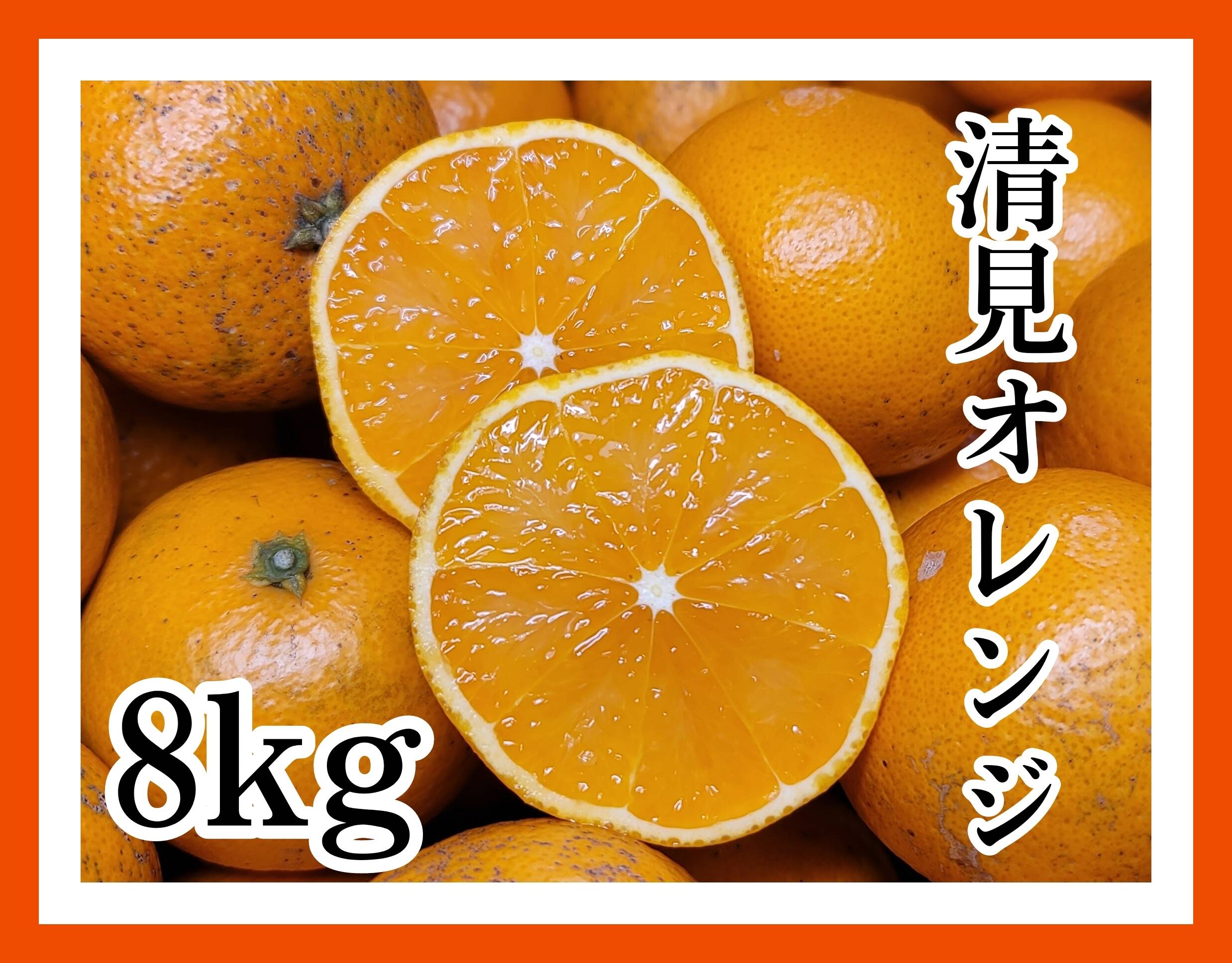 清見オレンジ 8kg】サイズ混合小玉多め 和歌山県有田市 産地直送