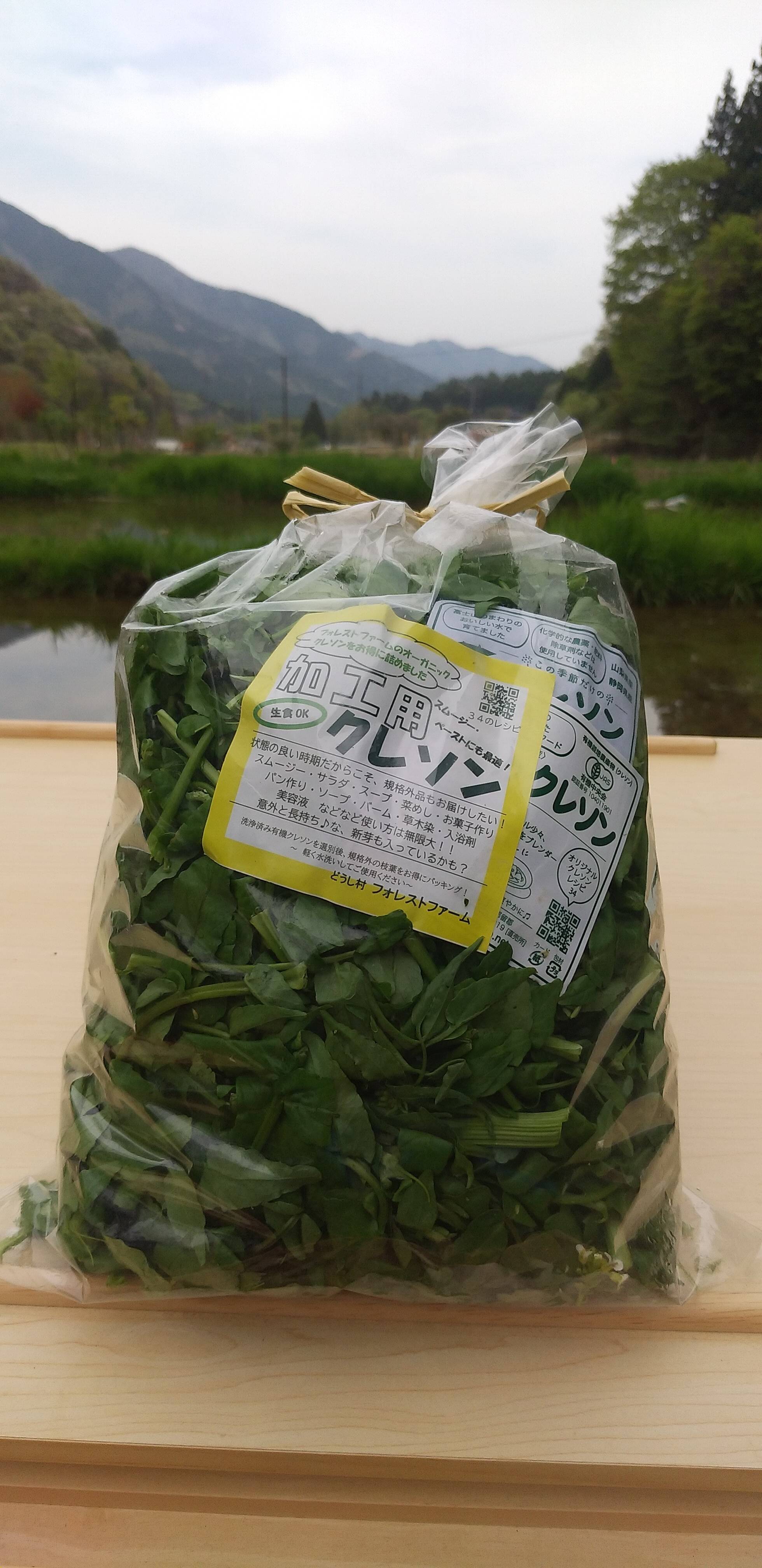 有機認証クレソン100％】加工用クレソン500g×12P 【大容量】：山梨県