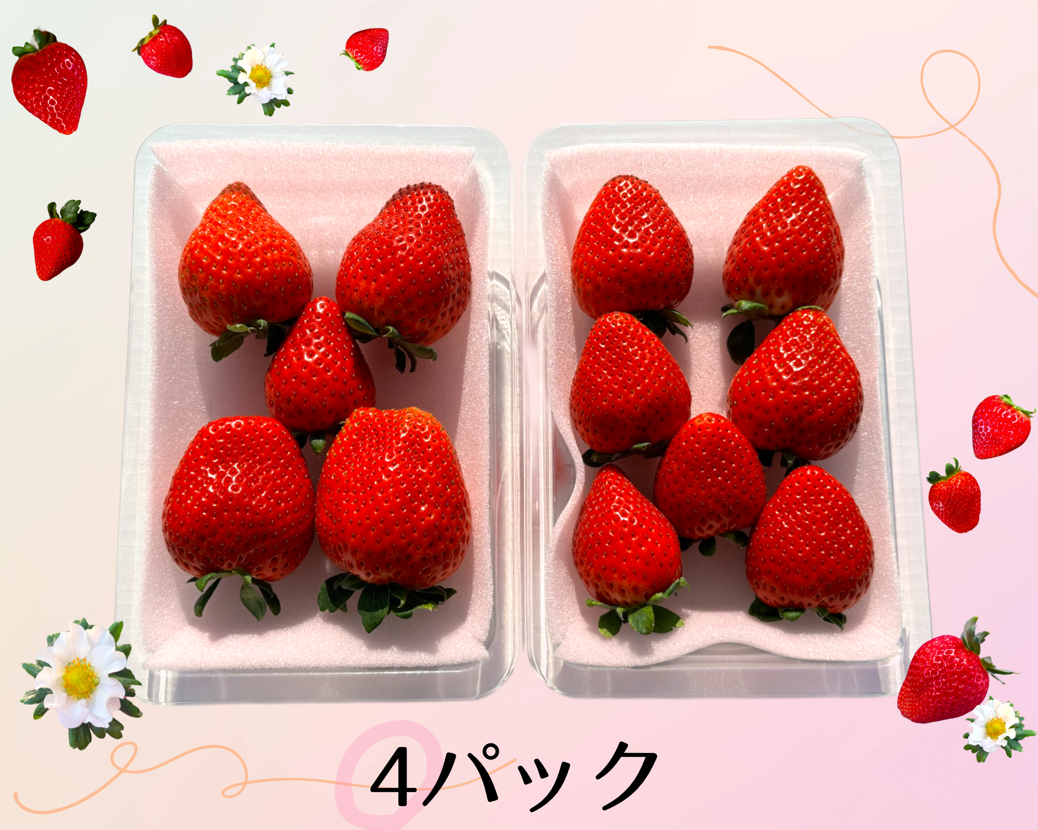 ⭐︎いちご農家より直送！とちあいか　規格外詰め合わせ　4kg 送料込⭐︎ No.11 高糖度♡朝採れ直送🍓甘くてジューシー！【とちあいか】平パック4