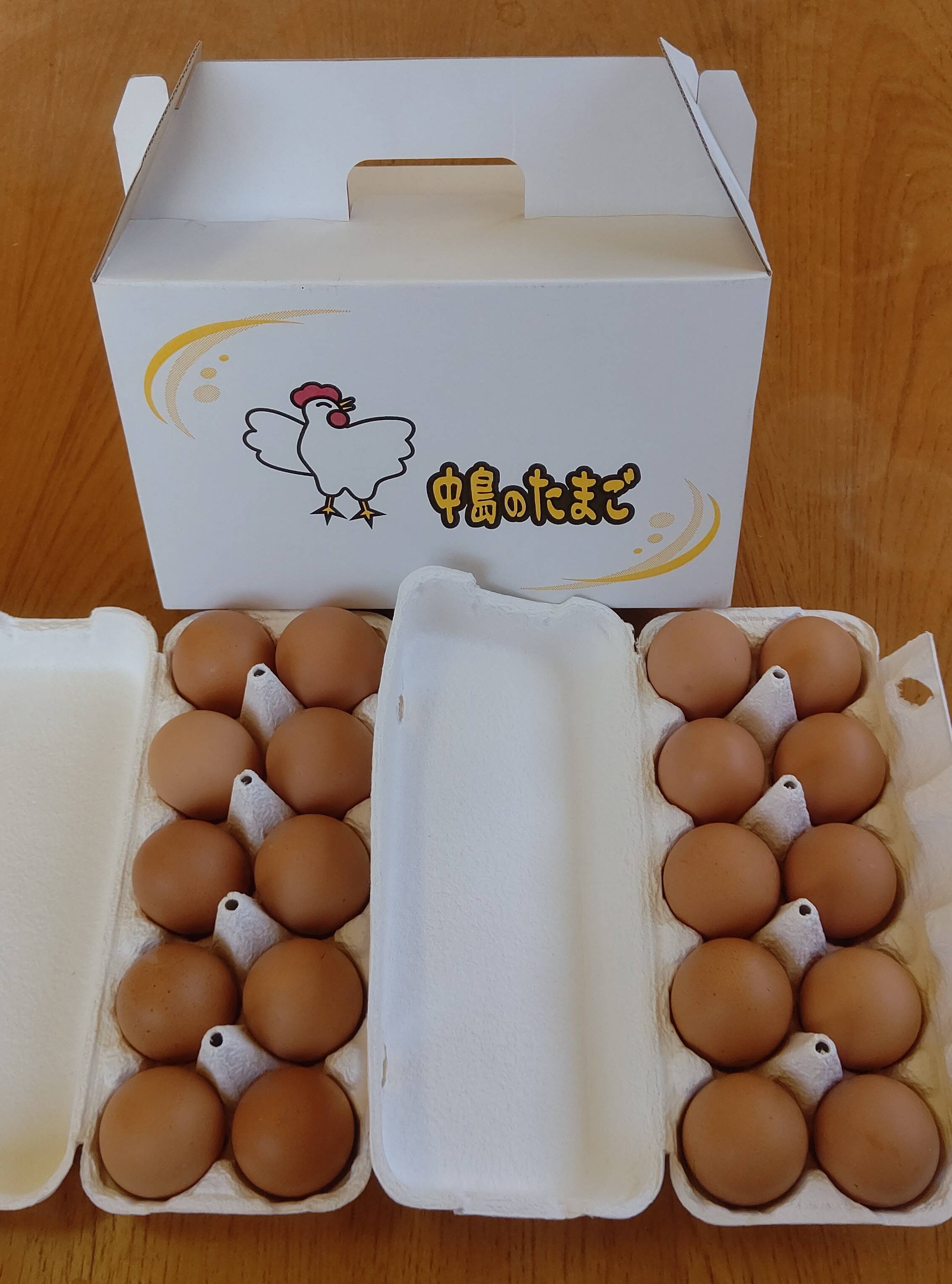 今季も再入荷 幸せな鶏の産みたて卵10個と無農薬の原木生椎茸 クール便で発送