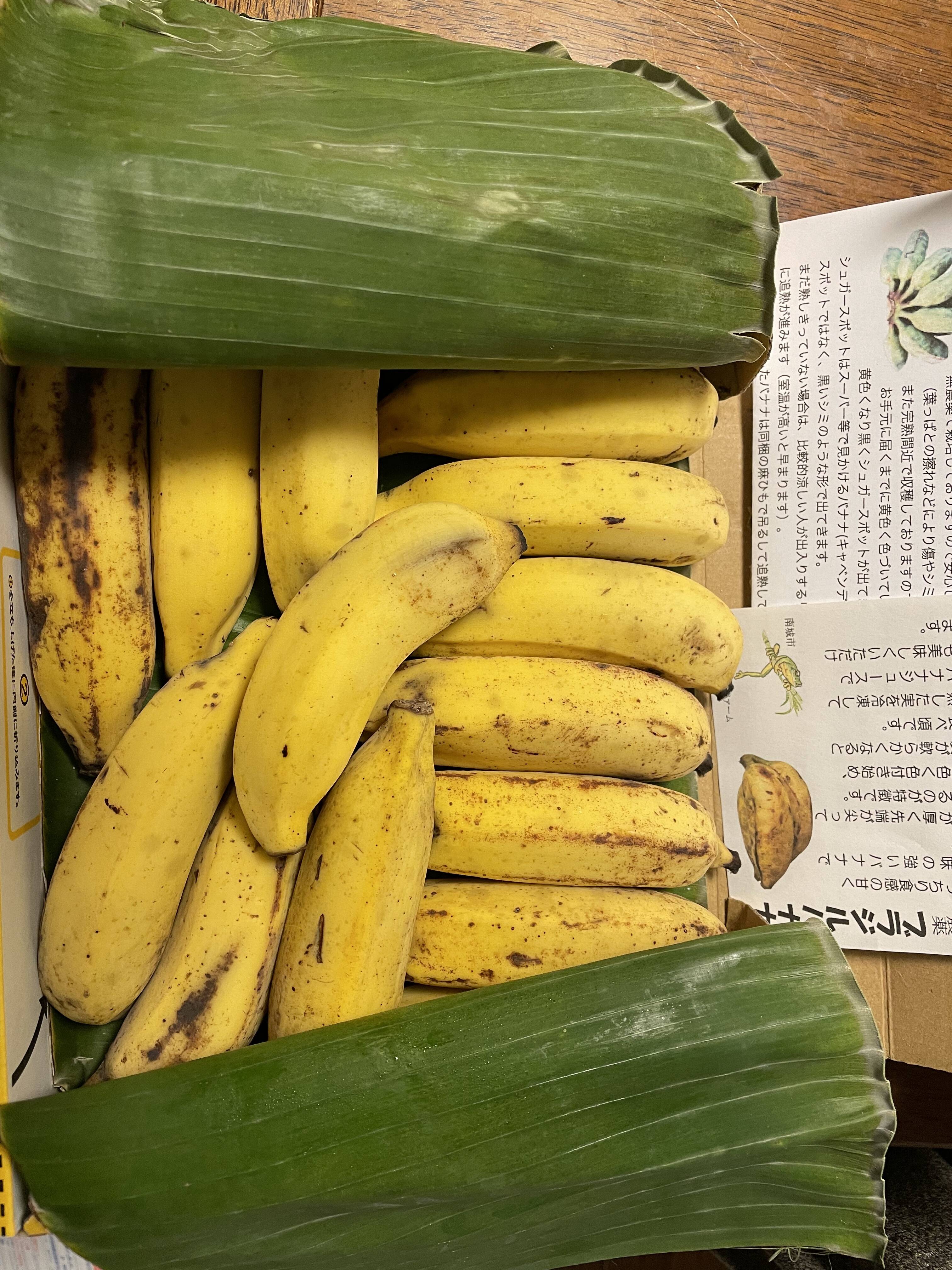 ししゃもさんが勝連盛輝 グリｰンフロッグファｰム さんの 特別価格 無農薬栽培ブラジルバナナ 1kgが 届いたよ を投稿しました 食べチョク