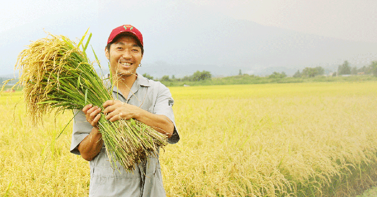 令和4年度産 新米 青天の霹靂（精米）１０kg：青森県産の米｜食べチョク｜産地直送(産直)お取り寄せ通販 - 農家・漁師から旬の食材を直送