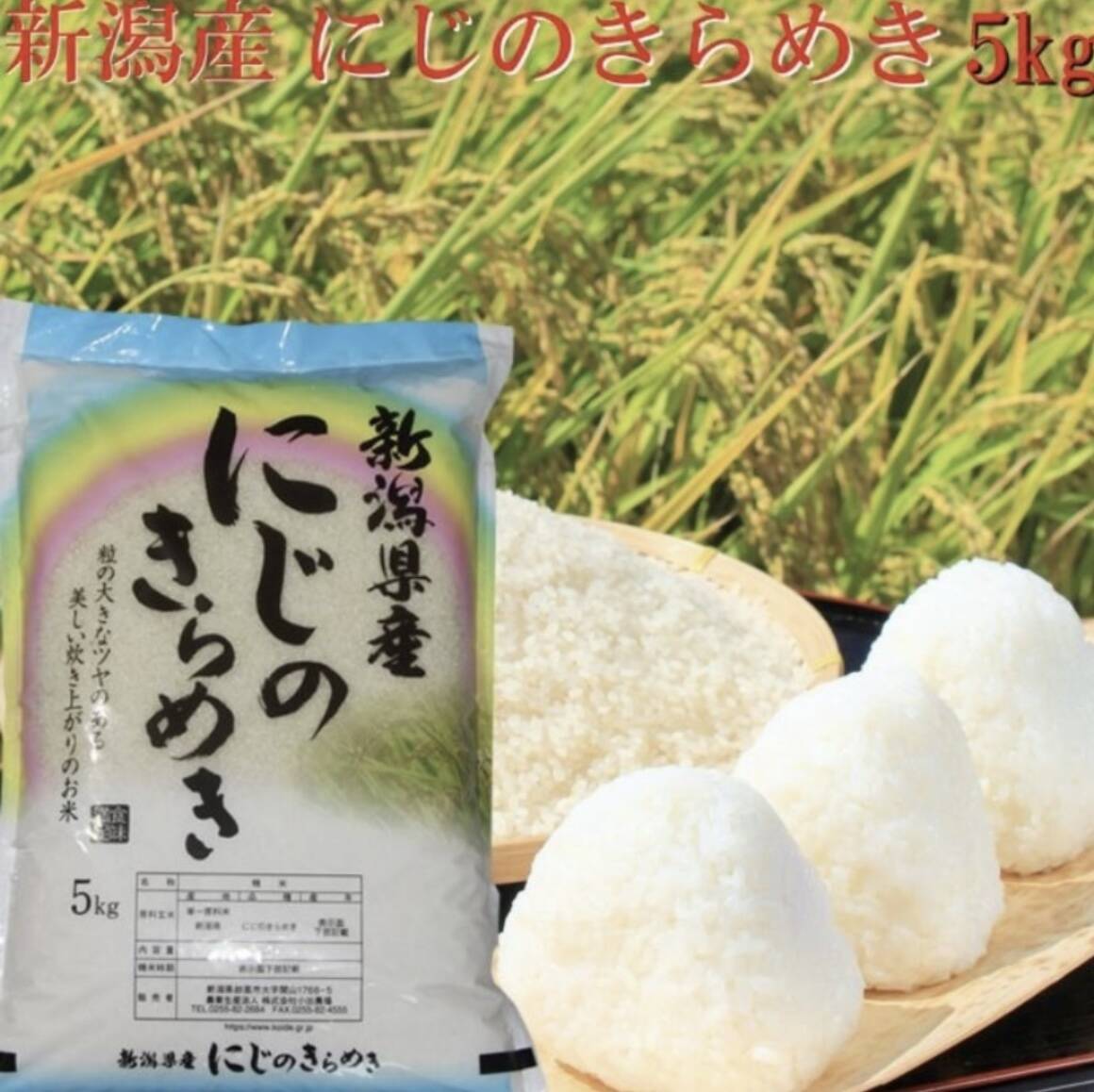 20kg 新米　令和7年産　佐賀県産 にじのきらめき 5kg袋　 白米 2855c94009ced28082537cc25021b4