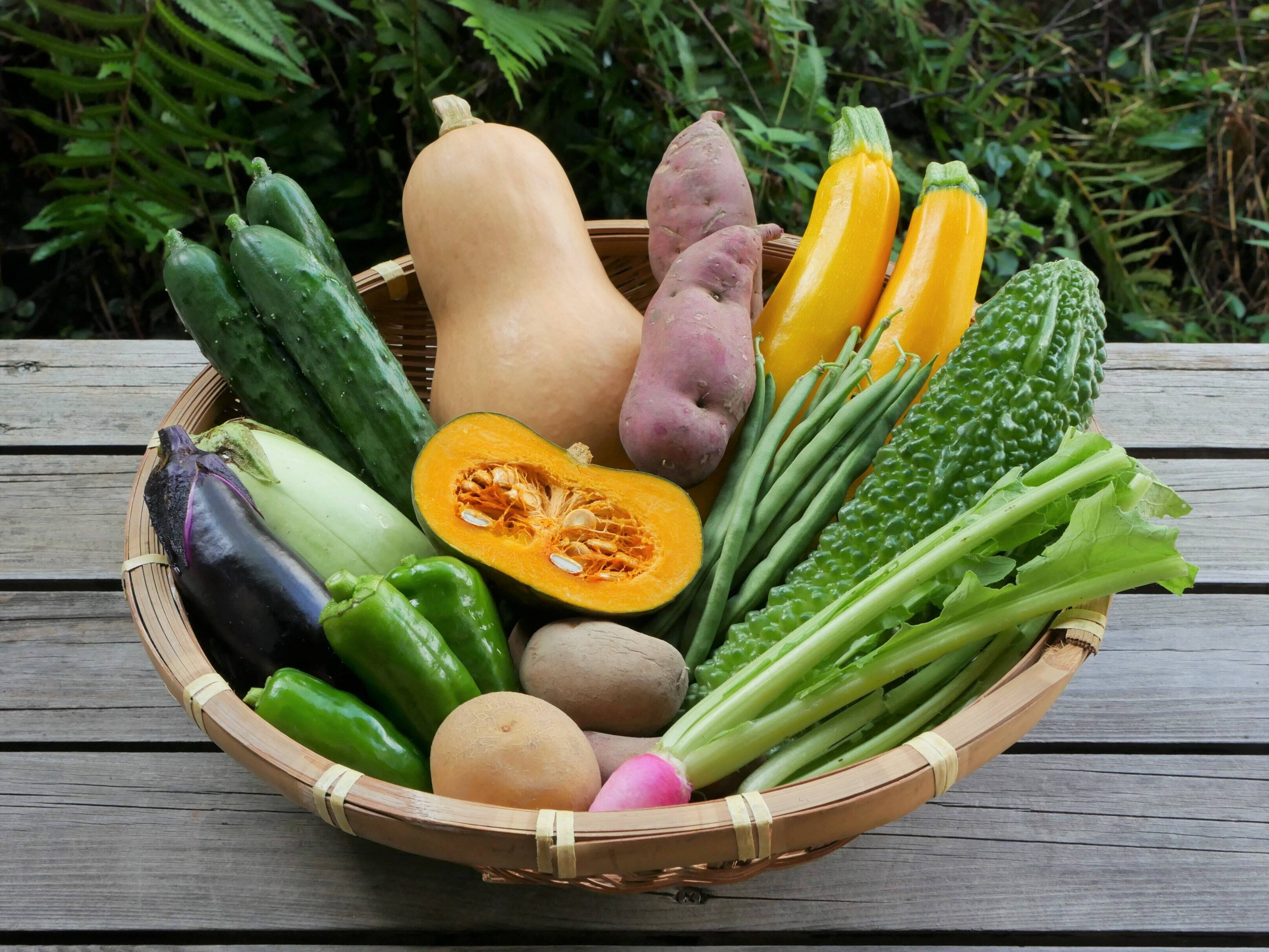 希少！旬の食材シリーズ7冊セット 野菜果物魚 希少！旬の食材シリーズ7冊セット 野菜果物魚 送料無料！【有機野菜と