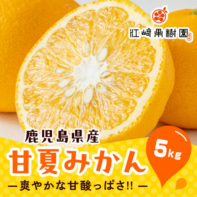 小粒ながら大いなる旨み！爽やかな甘夏みかん 約5K サイズ：小玉
