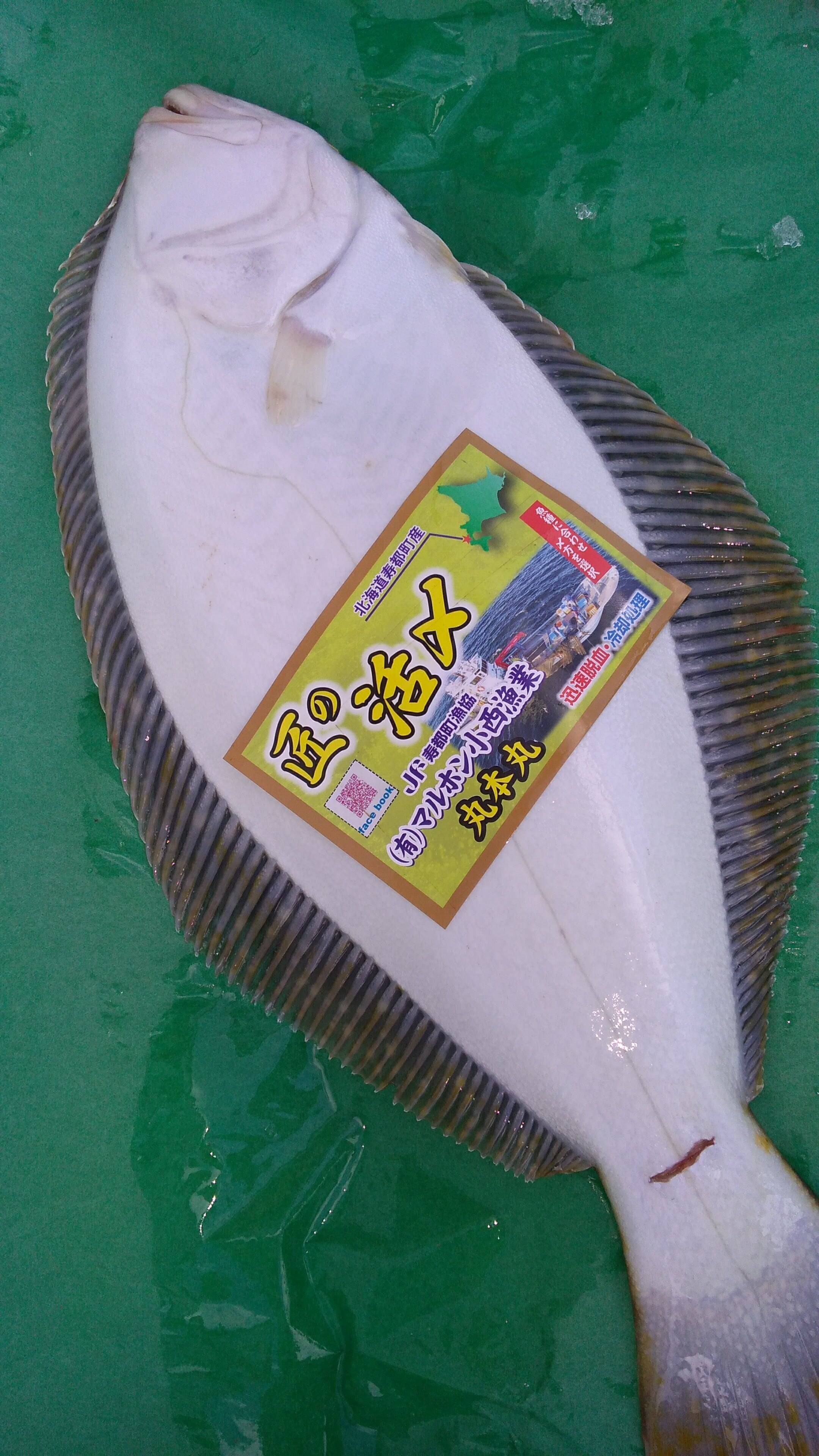 匠の活〆！！ヒラメ入り魚詰め合わせセット（箱4.5kg程度）：北海道産