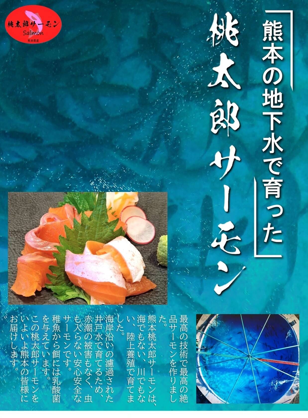 旨味と甘みの絶品桃太郎サーモン セミドレス 1.5kg～2kg：福岡県産 