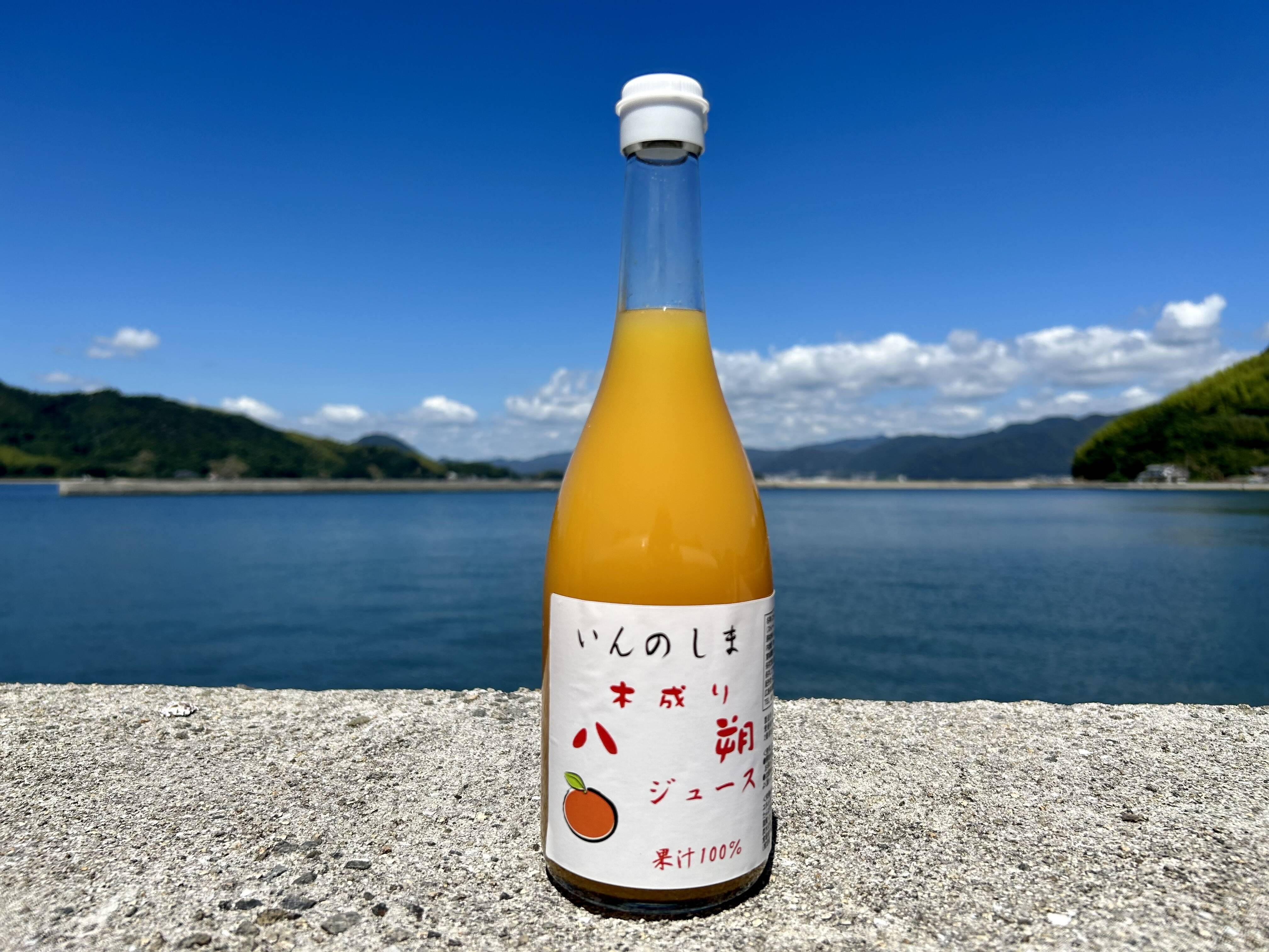 無添加・果汁100%】八朔ジュース（はっさく）6本セット：広島県