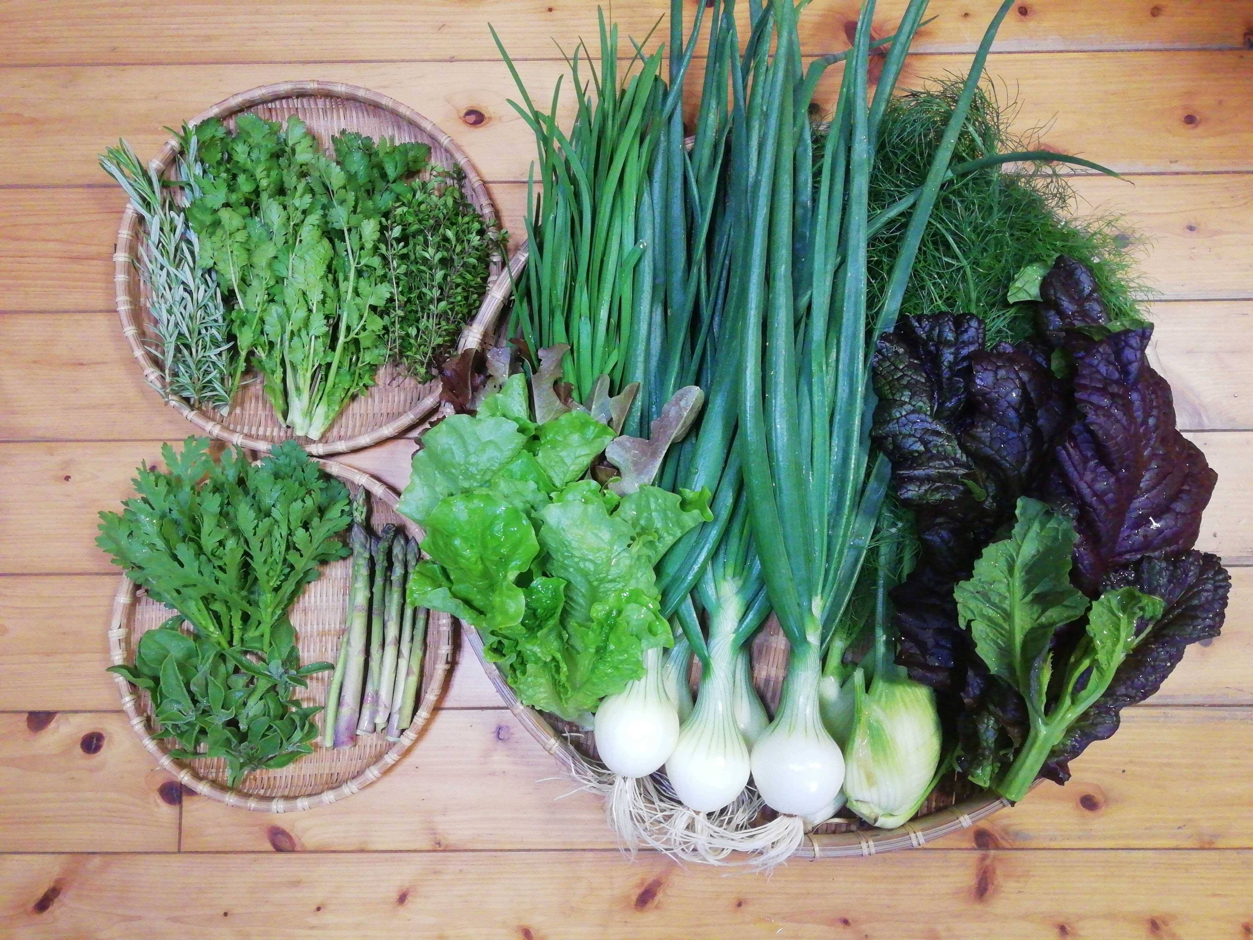 本店は 送料無料 おまかせお野菜セット10種類 植え付け以降 化学肥料 農薬不使用 山口市有機農業推進協議会 産直部会お野菜詰め合わせ エシカル 火曜日 金曜日送料無料<br> 野菜詰め合わせセット 80サイズ 農薬不使用