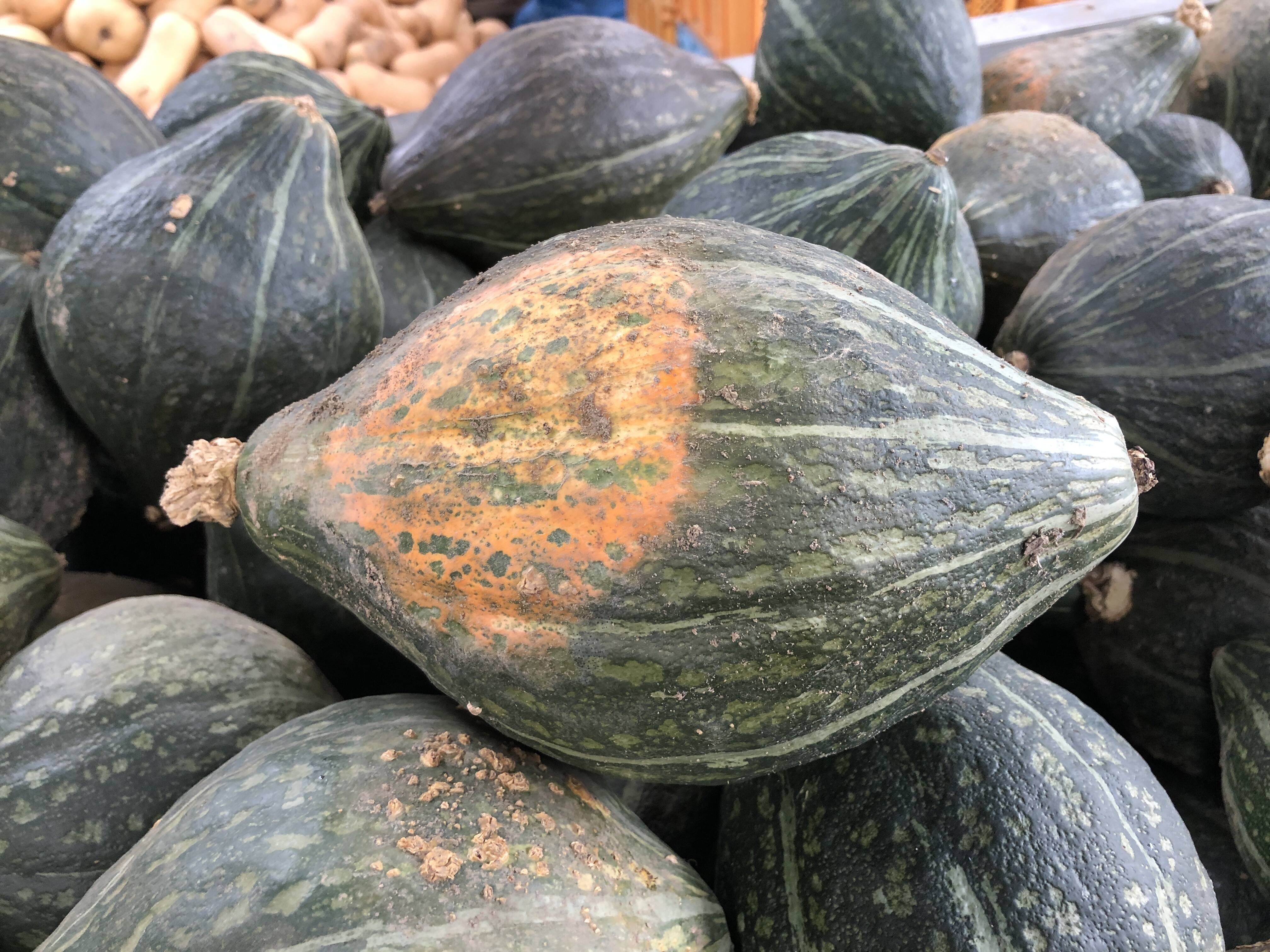 コメント失礼致します三重県伊賀上野産　農薬も肥料もなし自然に育ったロロンかぼちゃ約4.5キロ