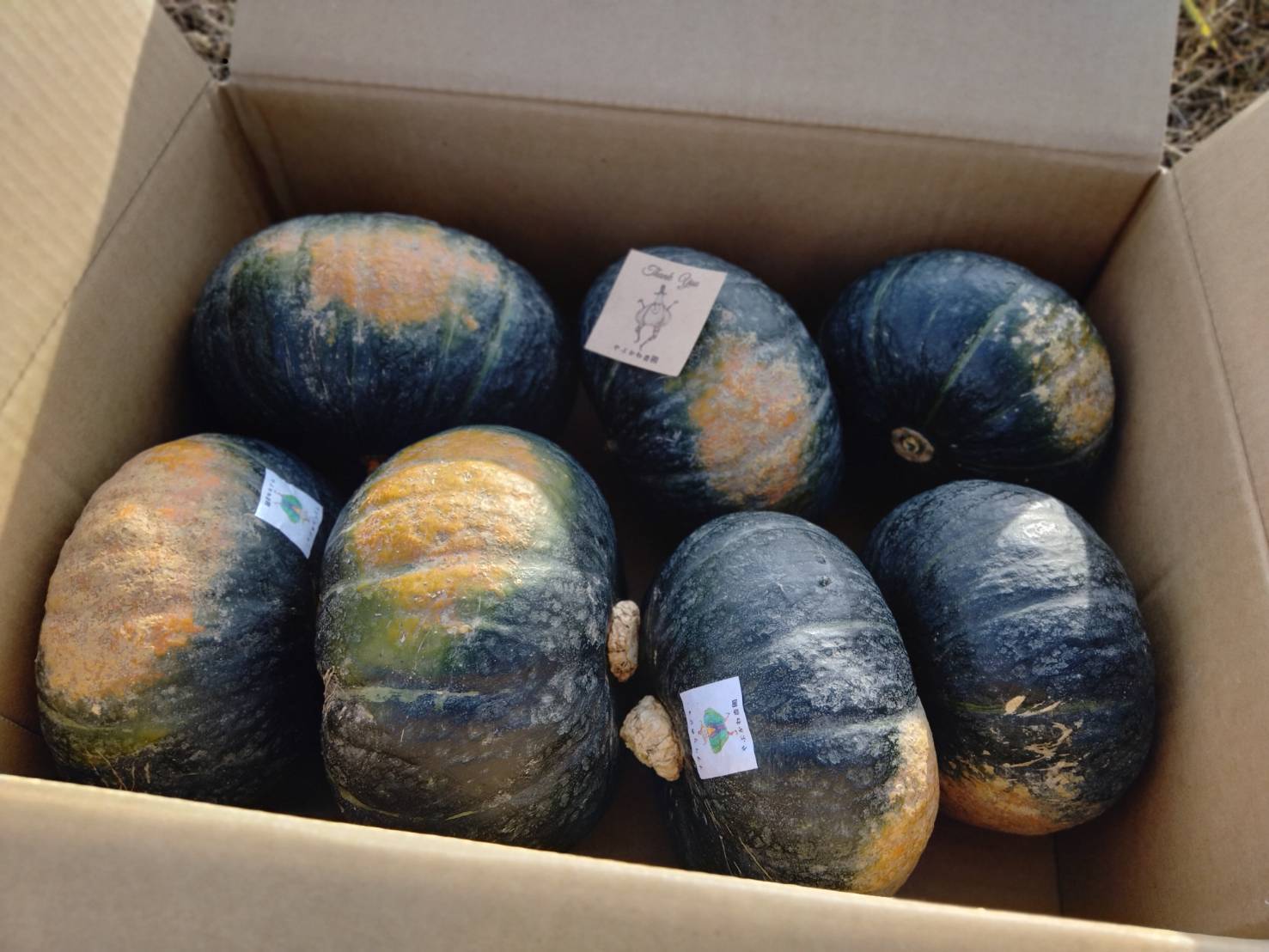 28cb5d5dbc935b0d986c81dae966a8