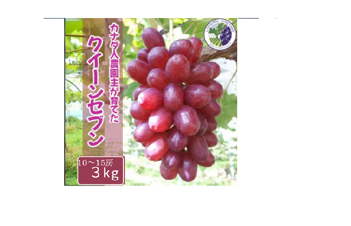 クィーン　ブートレッグ　７枚 フェンディ FENDI ピーカブー ISeeU エックスクロス 7VA582 ネオン