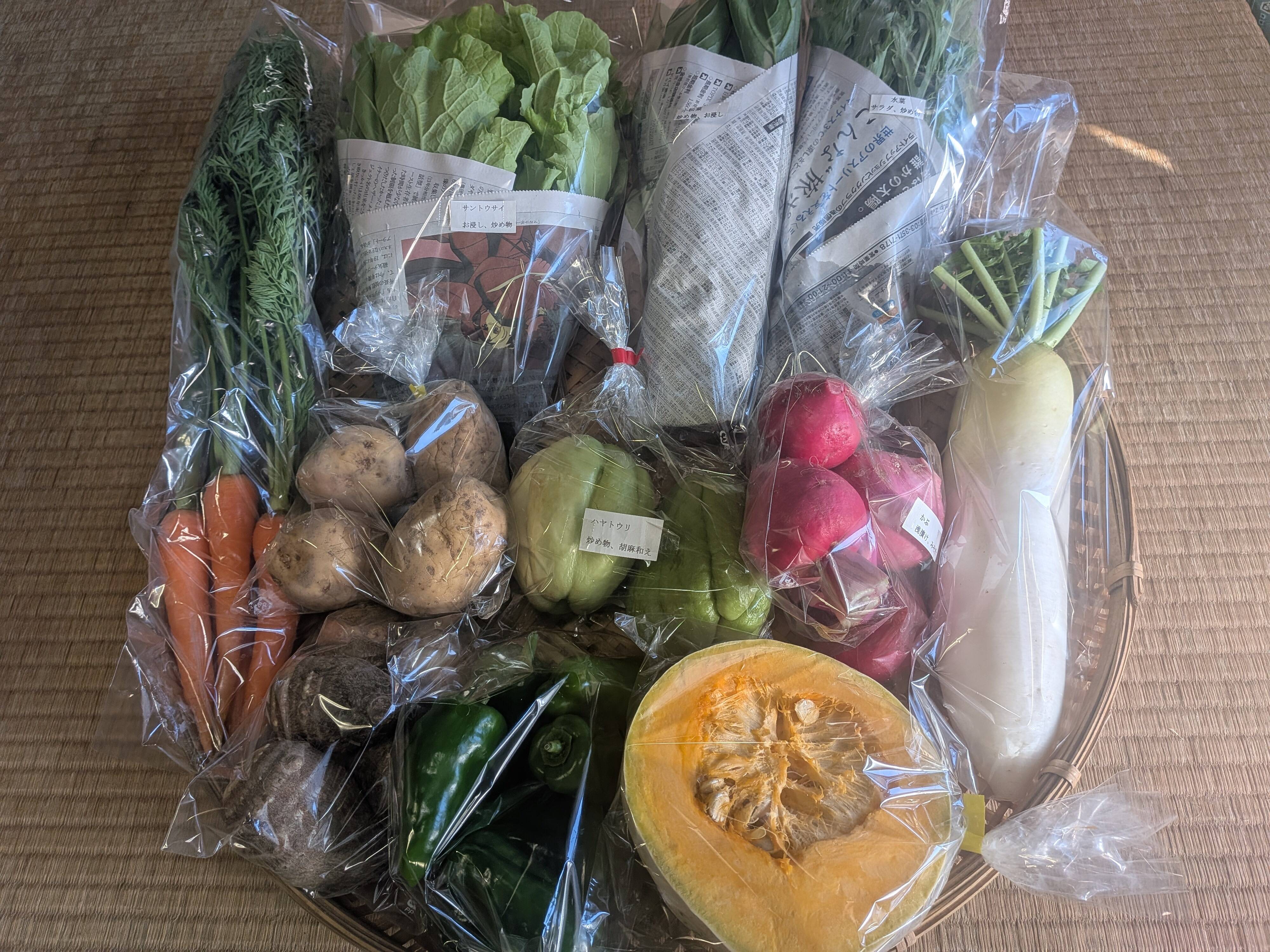 四菜善5セット ☆自然栽培100サイズ☆【4-5人前】（9~10品）季節折々の野菜Mセット
