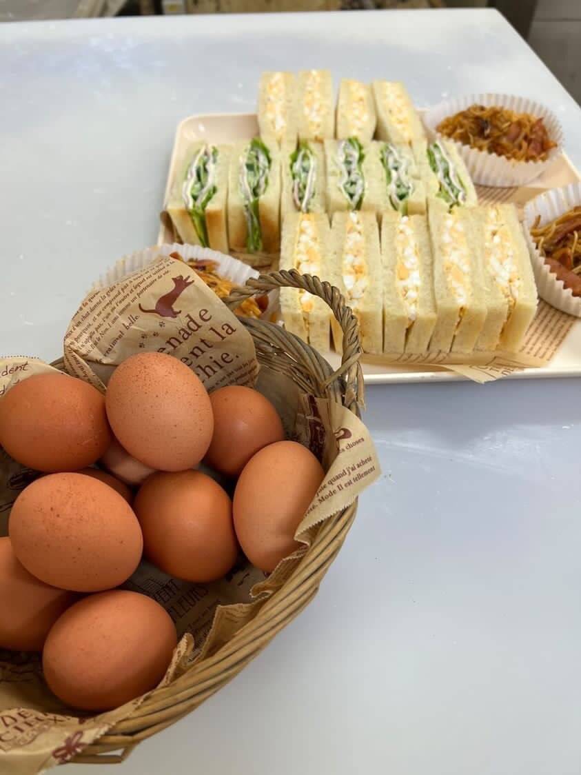 20個入 黄身がつまめる平飼い卵：大分県産の平飼い｜食べチョク｜産地