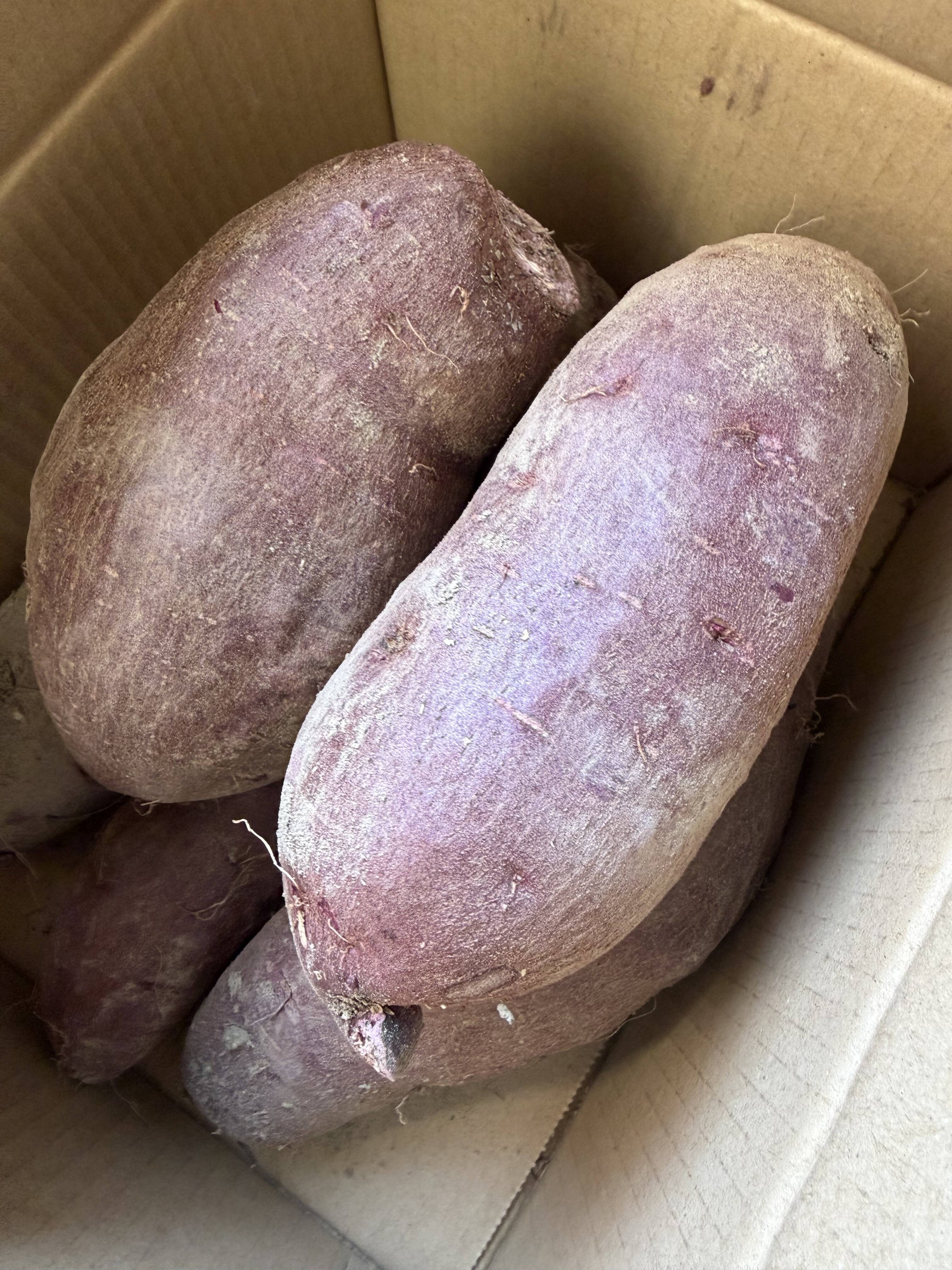 江子サツマイモアヤ紫２０ｋｇ＾～2 自然栽培土付き紫いも(あや紫)2kg 美容・健康効果たっぷり：岡山県産の