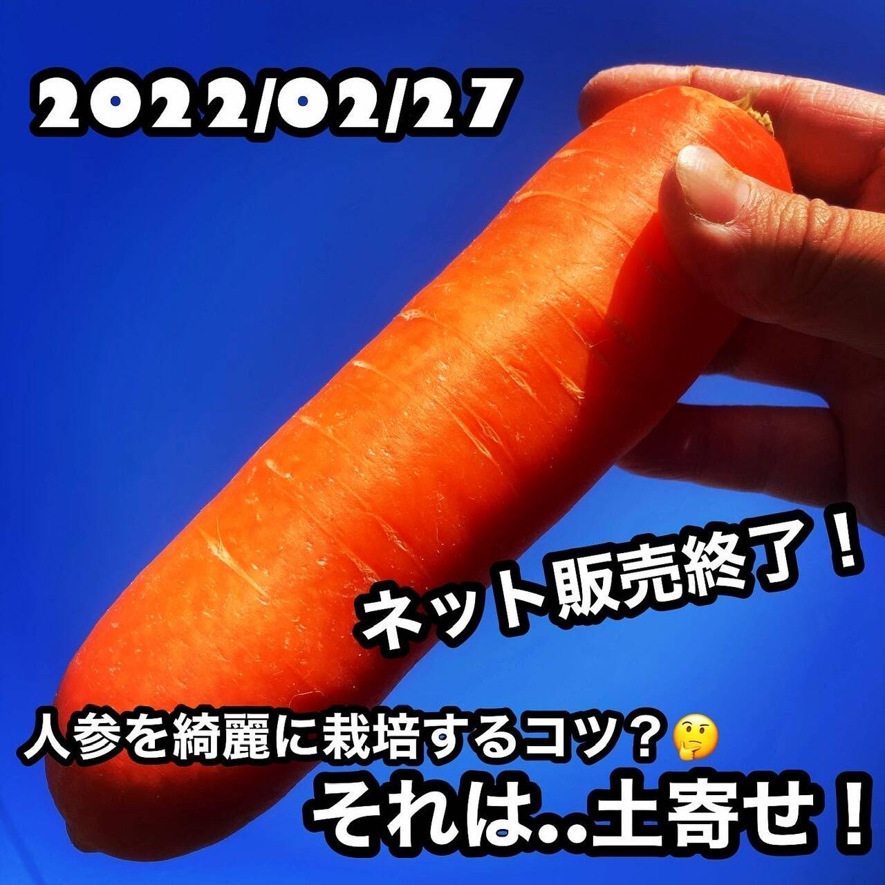 2022/2/27 人参を綺麗に栽培するコツ？ それは土寄せ！｜食べチョク