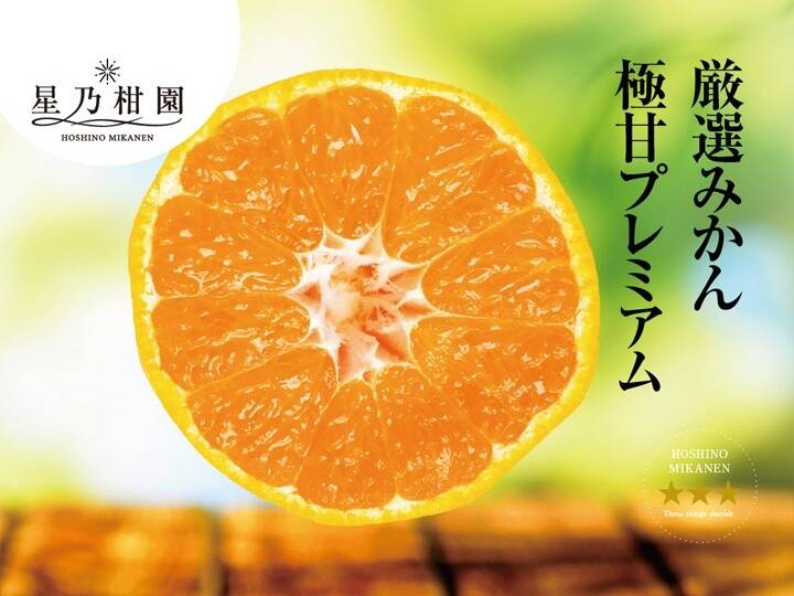 星乃みかん】木成り完熟 愛媛産みかん 極上小玉 3kg：愛媛県産の