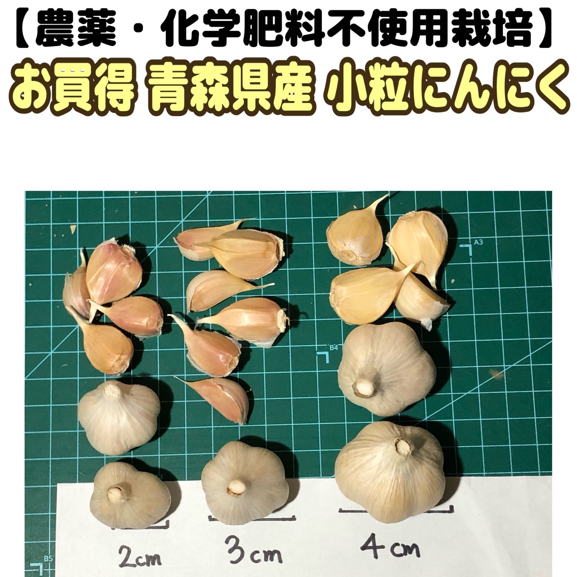 農薬・化学肥料不使用栽培】お買得 青森県産 小粒バラにんにく 100ｇ：青森県産の福地ホワイト｜食べチョク｜産地直送(産直)お取り寄せ通販 -  農家・漁師から旬の食材を直送