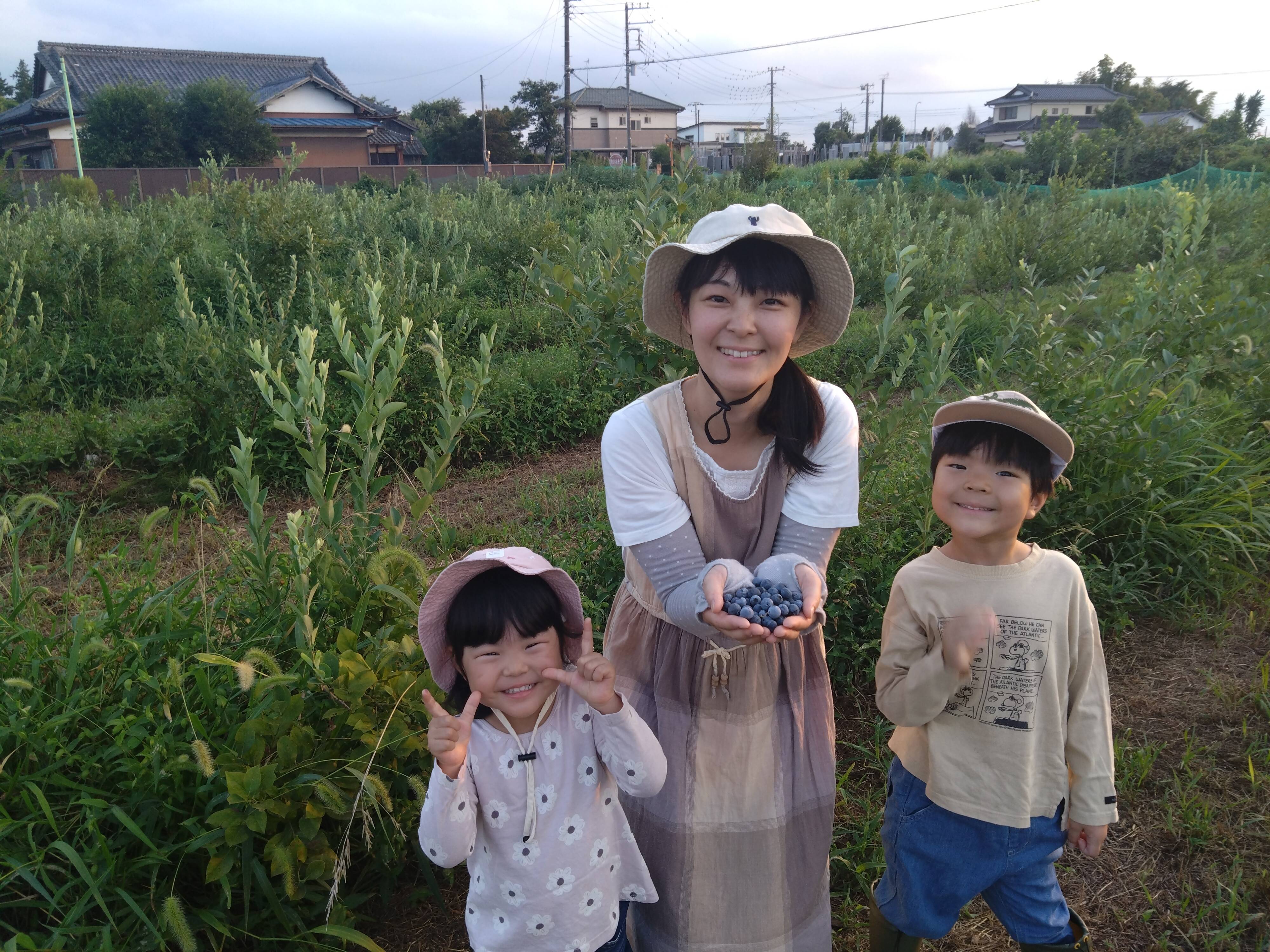 ☆令和7年 生ブルーベリー☆農薬不使用 3㌔ メイちゃんn 農薬不使用生ブルーベリーサイズ混合1kg