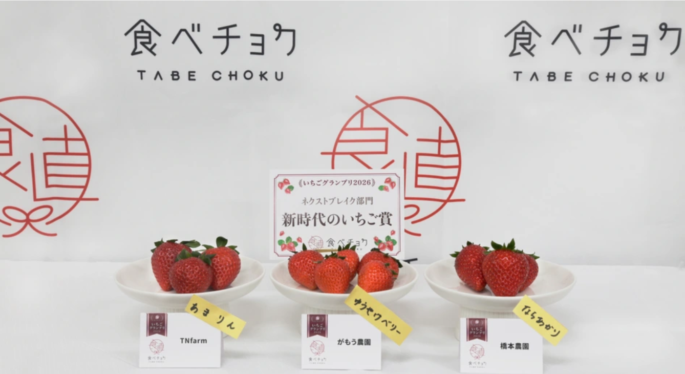 いちごグランプリ2026入賞しました！！🍓いちごの販売を再開します