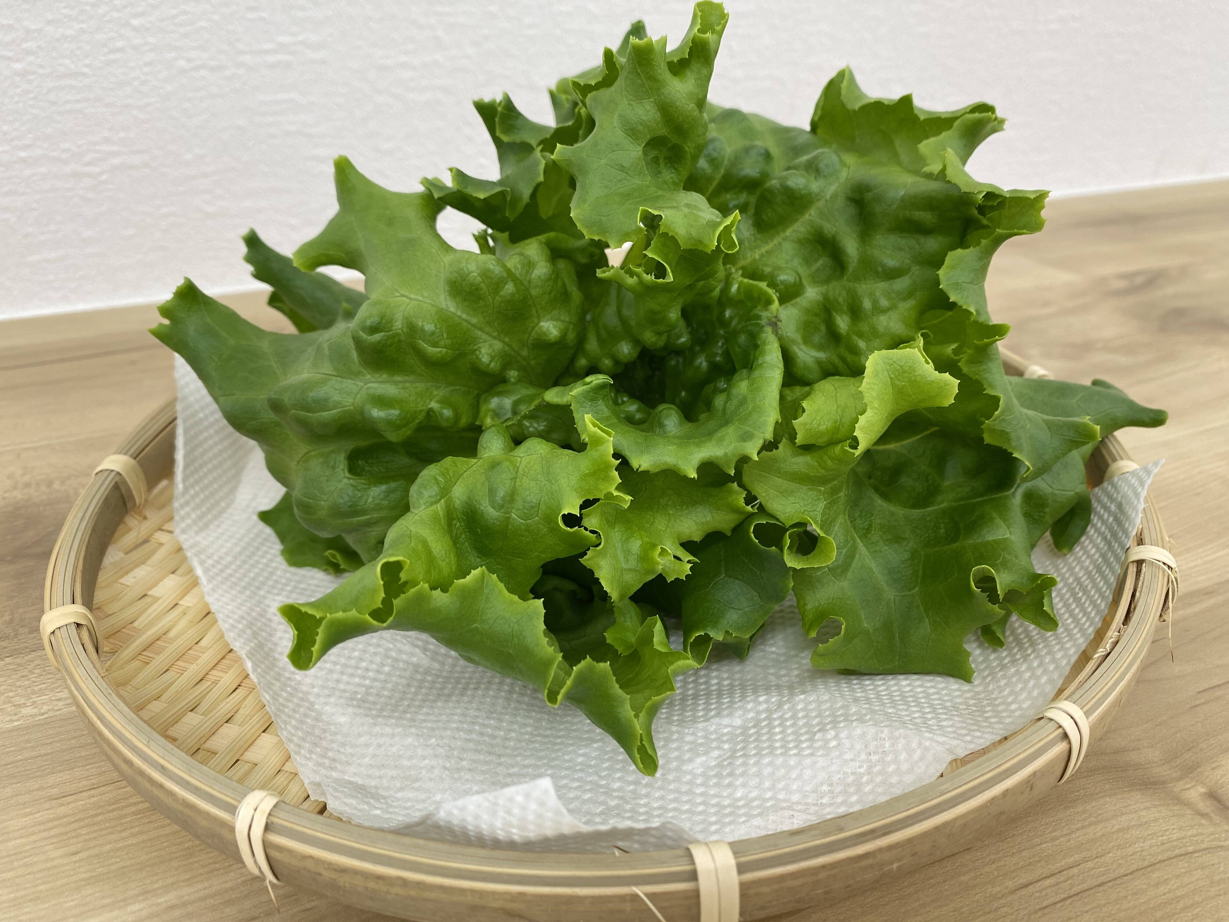 年中ご購入が可能！農薬不使用！植物工場の洗わずにそのまま食べれる