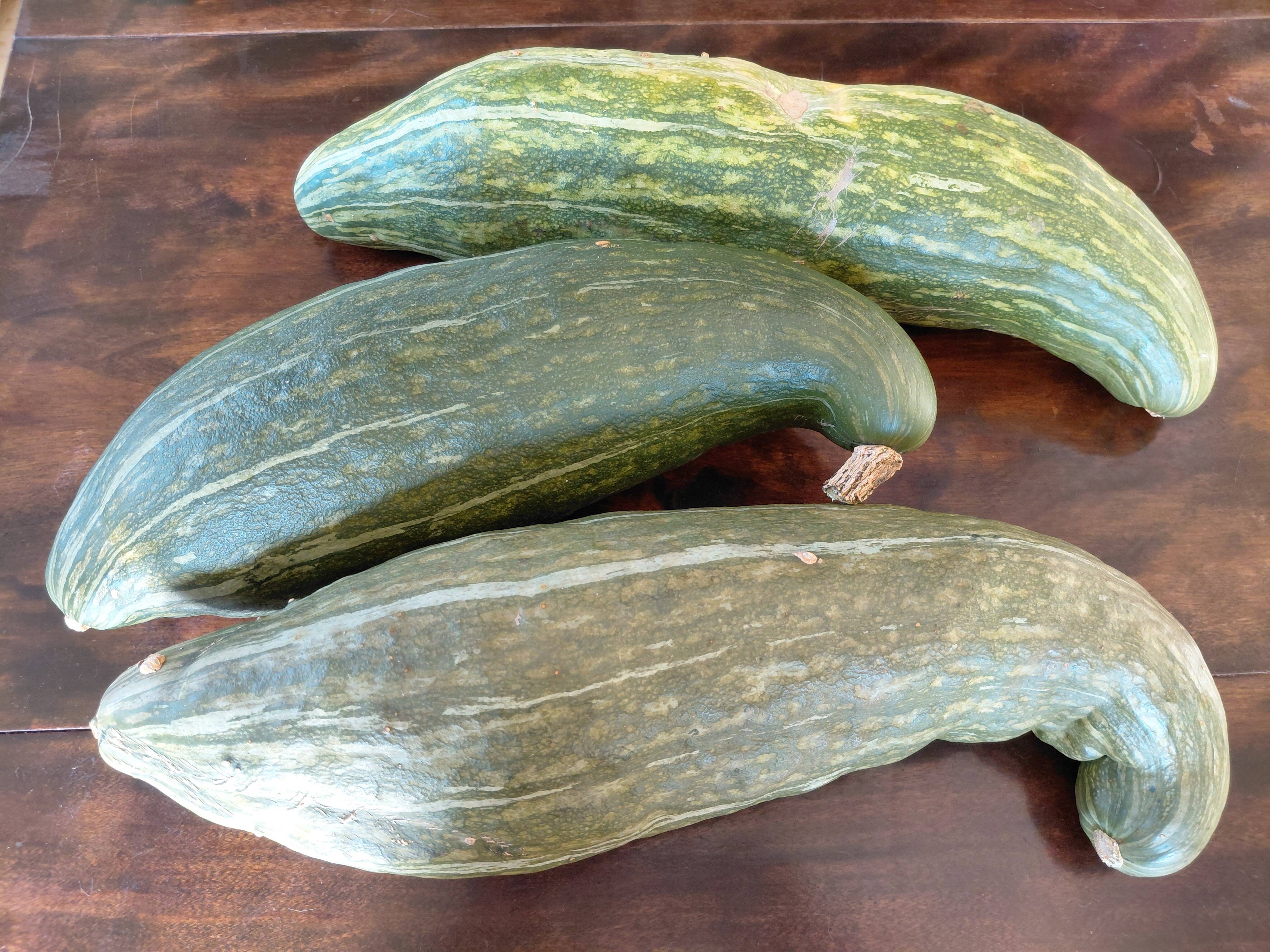 29decedd7bb365a34d852367dafdbf