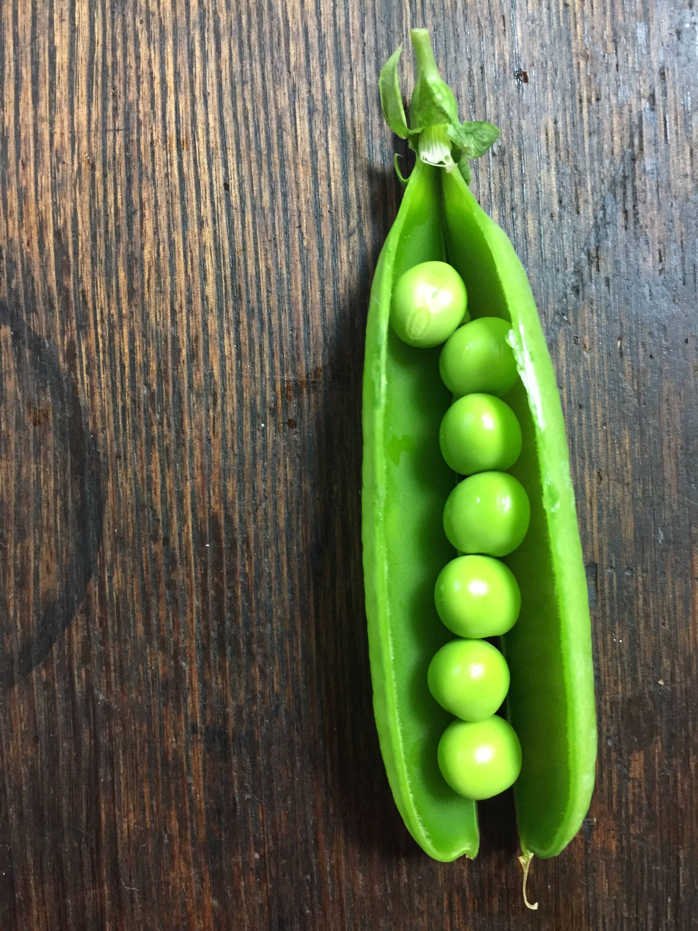 当店の記念日 グリーンピースさま専用 家庭用ゲーム機本体 Www Reinnec Cl