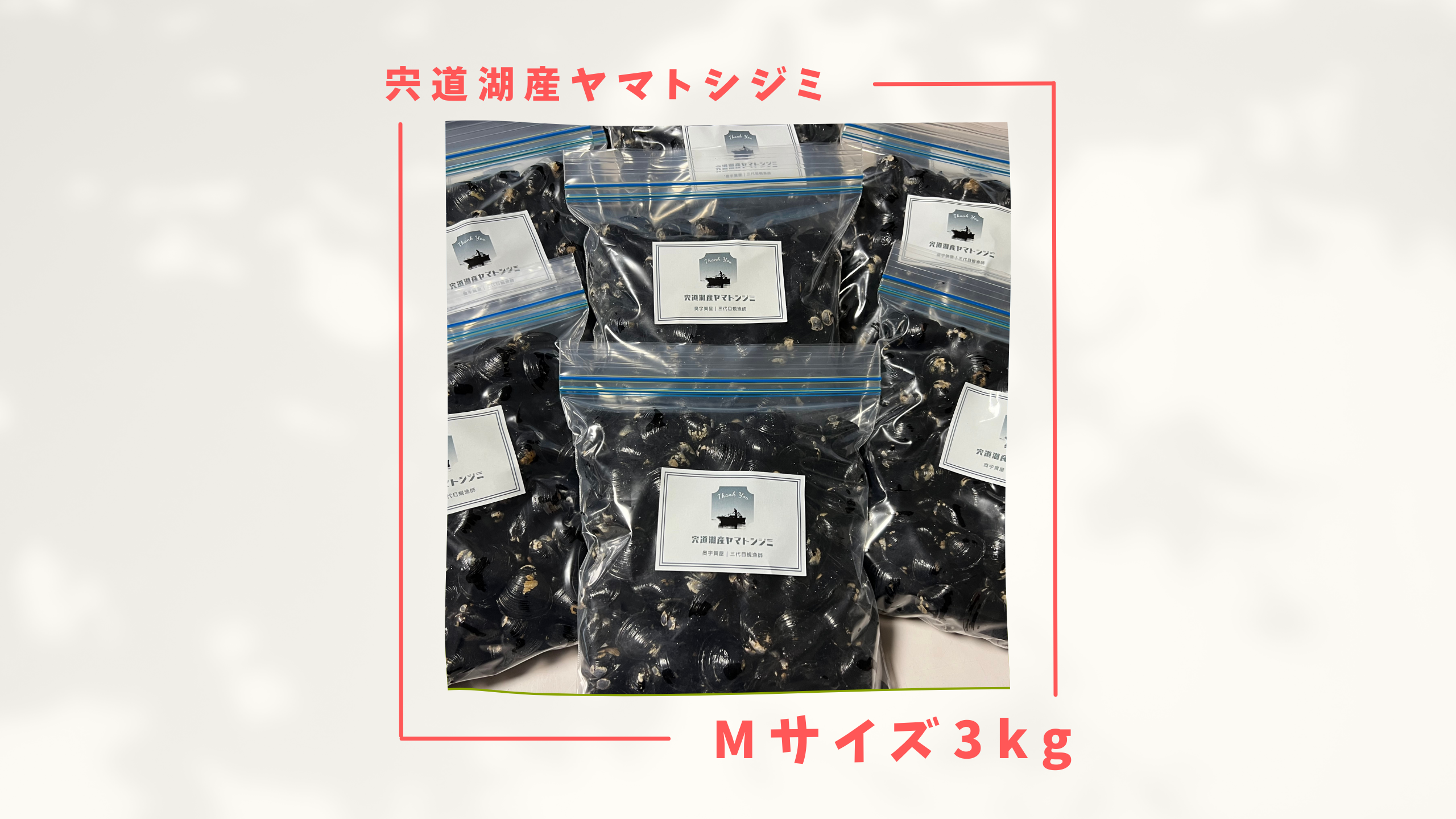 じじさん専用、箱込み10キロ、訳あり 訳あり】漁師直送！宍道湖産ヤマトシジミ・冷凍3kg（ご家庭用・Mサイズ