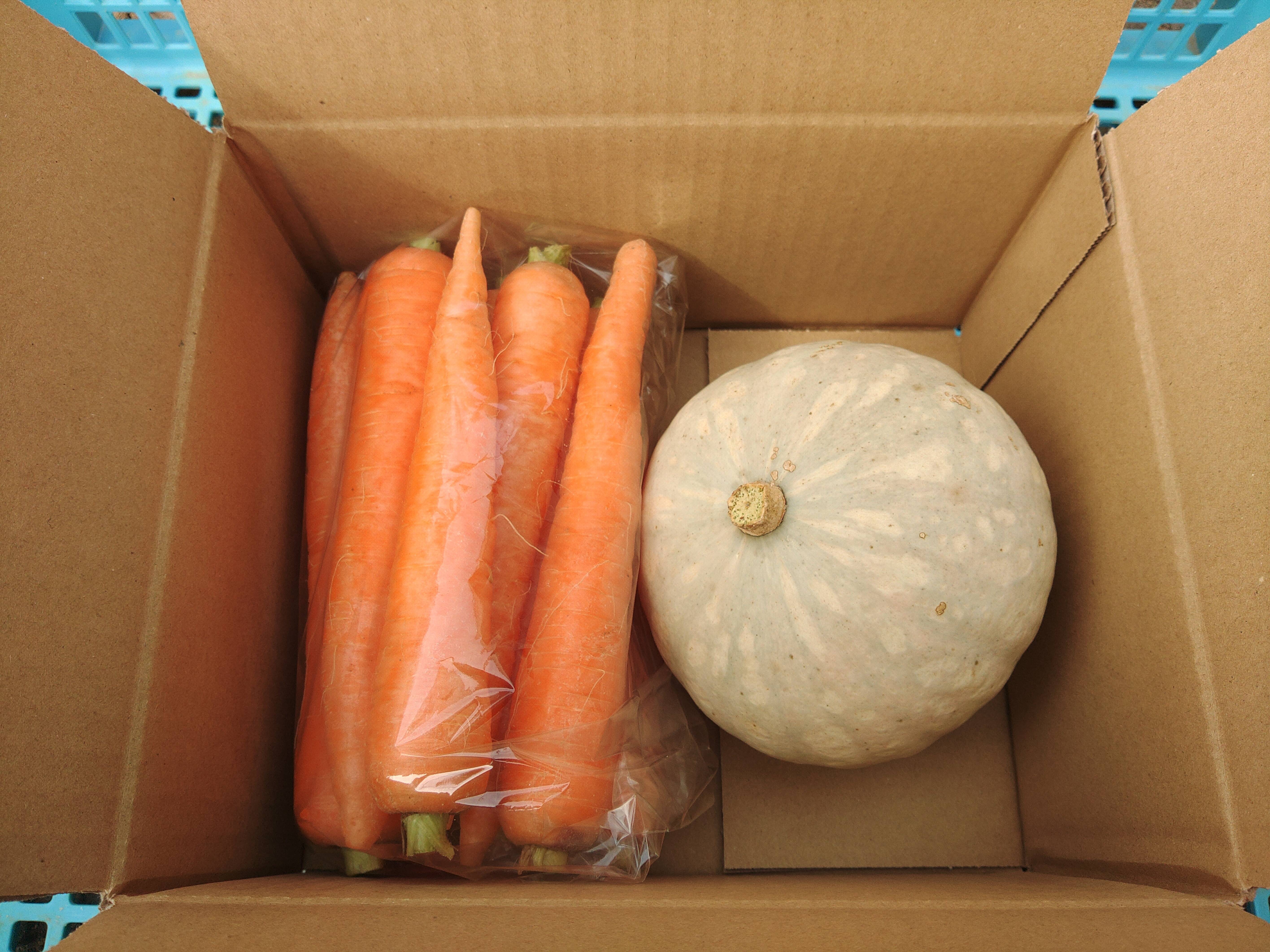 野菜2種セット】 彩誉ニンジン 1kg × 白爵かぼちゃ 1個（600g）：大阪