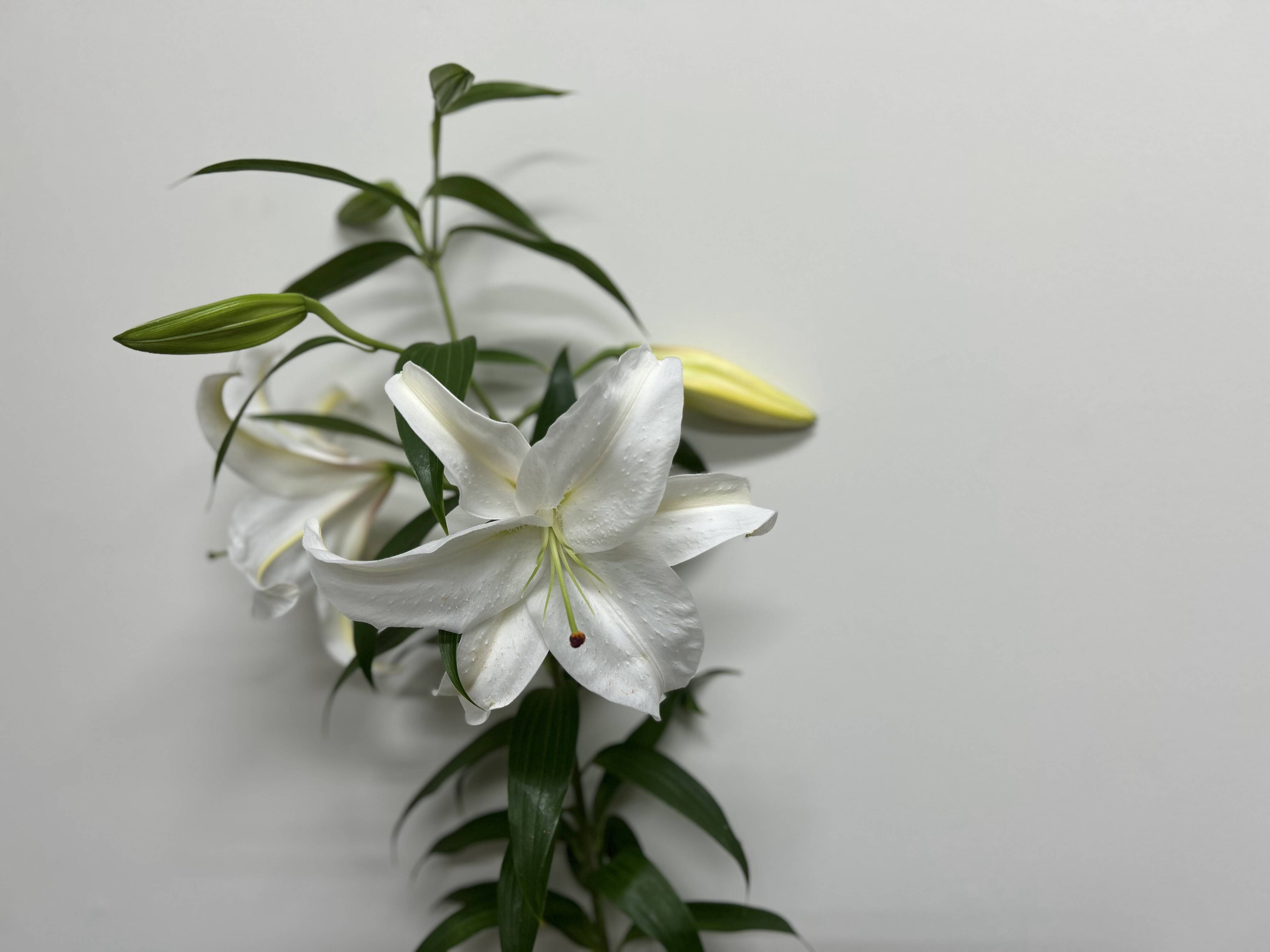 2b155e1ce602e95f11bf0afc285629