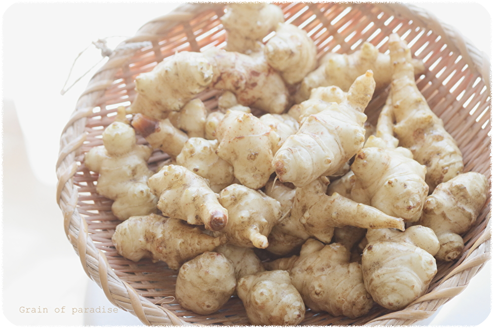 菊芋 菊芋(3kg)：千葉県産のその他菊芋｜食べチョク｜産地直送(産直)お